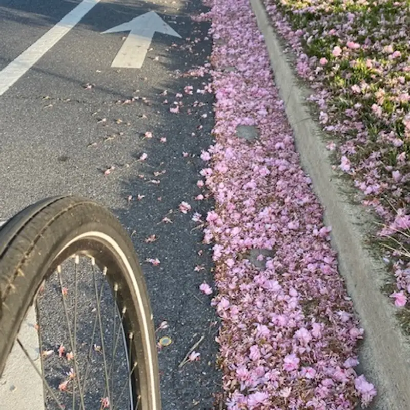 Get Out and Ride!