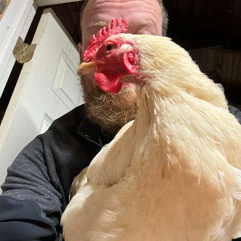 Lee of Bawk
