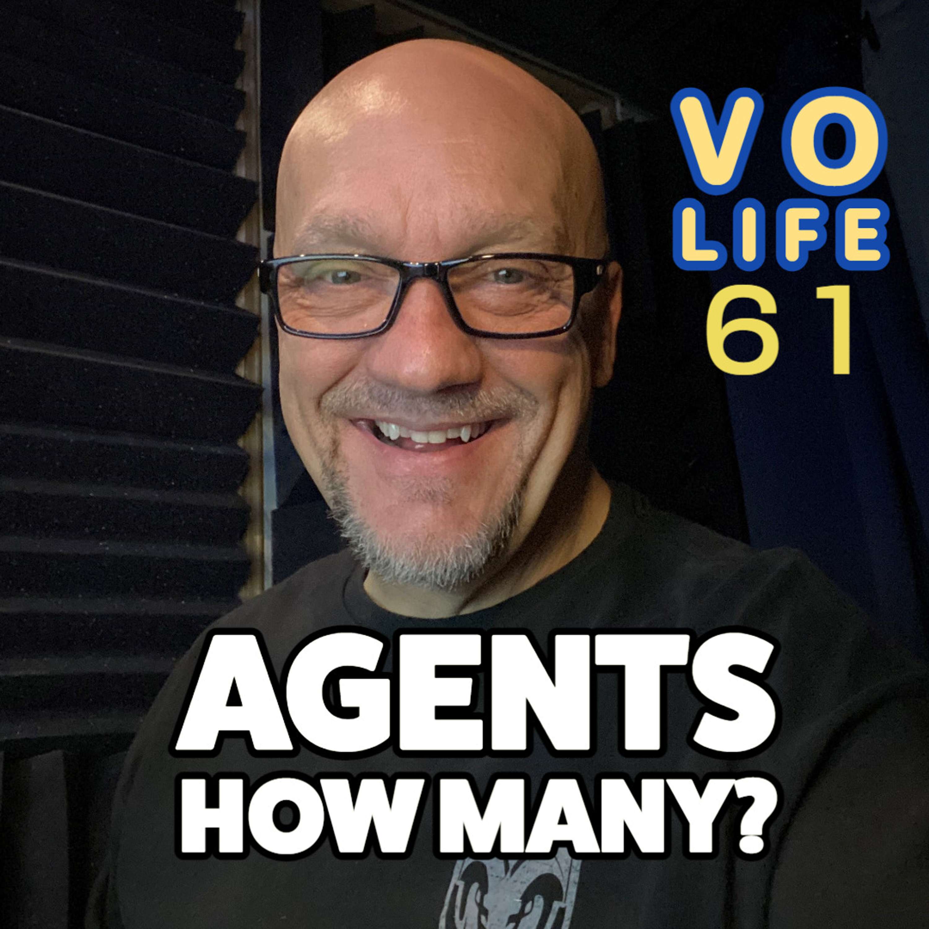 The VO Life