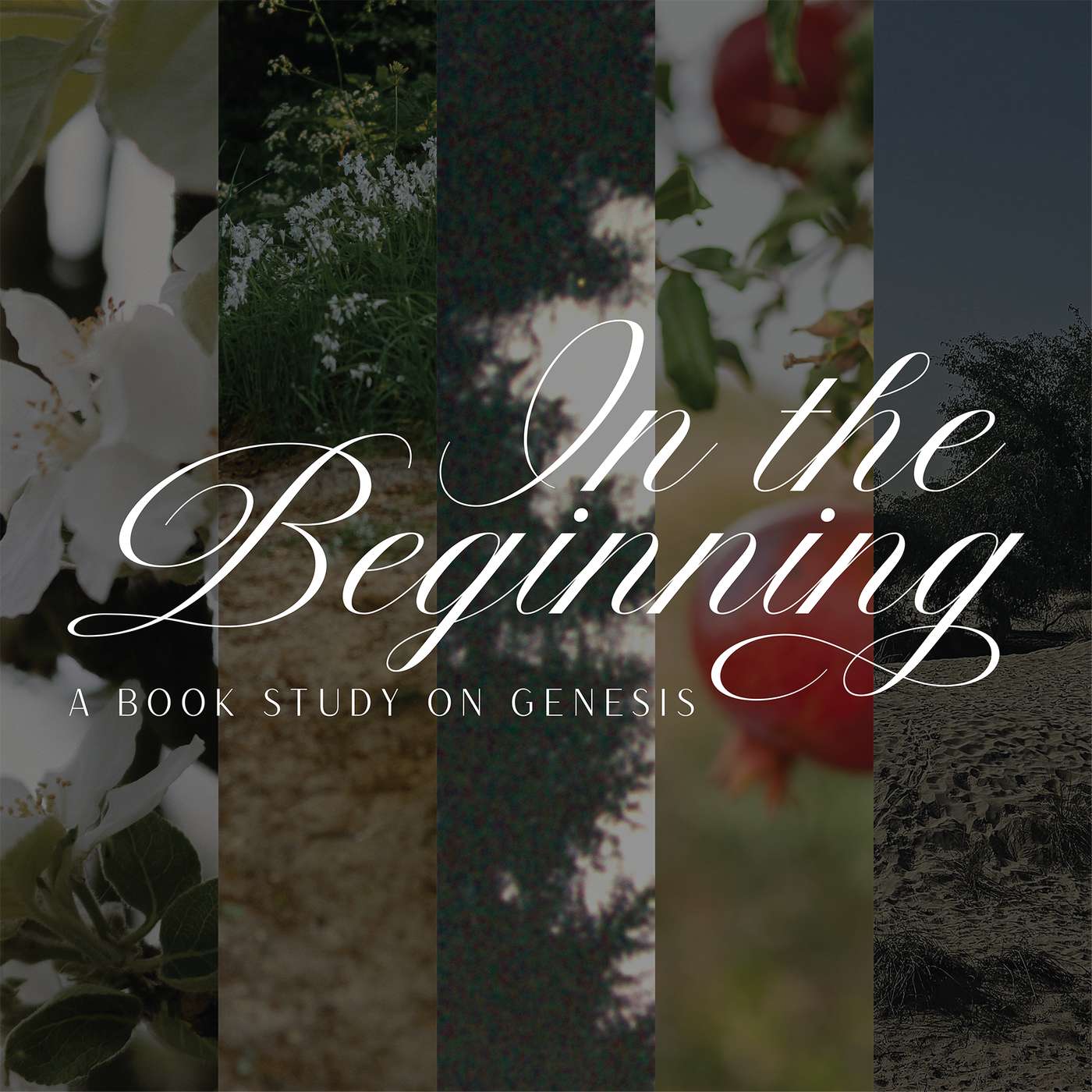 Strengths, Shadows, & the Struggle (Gen. 32)