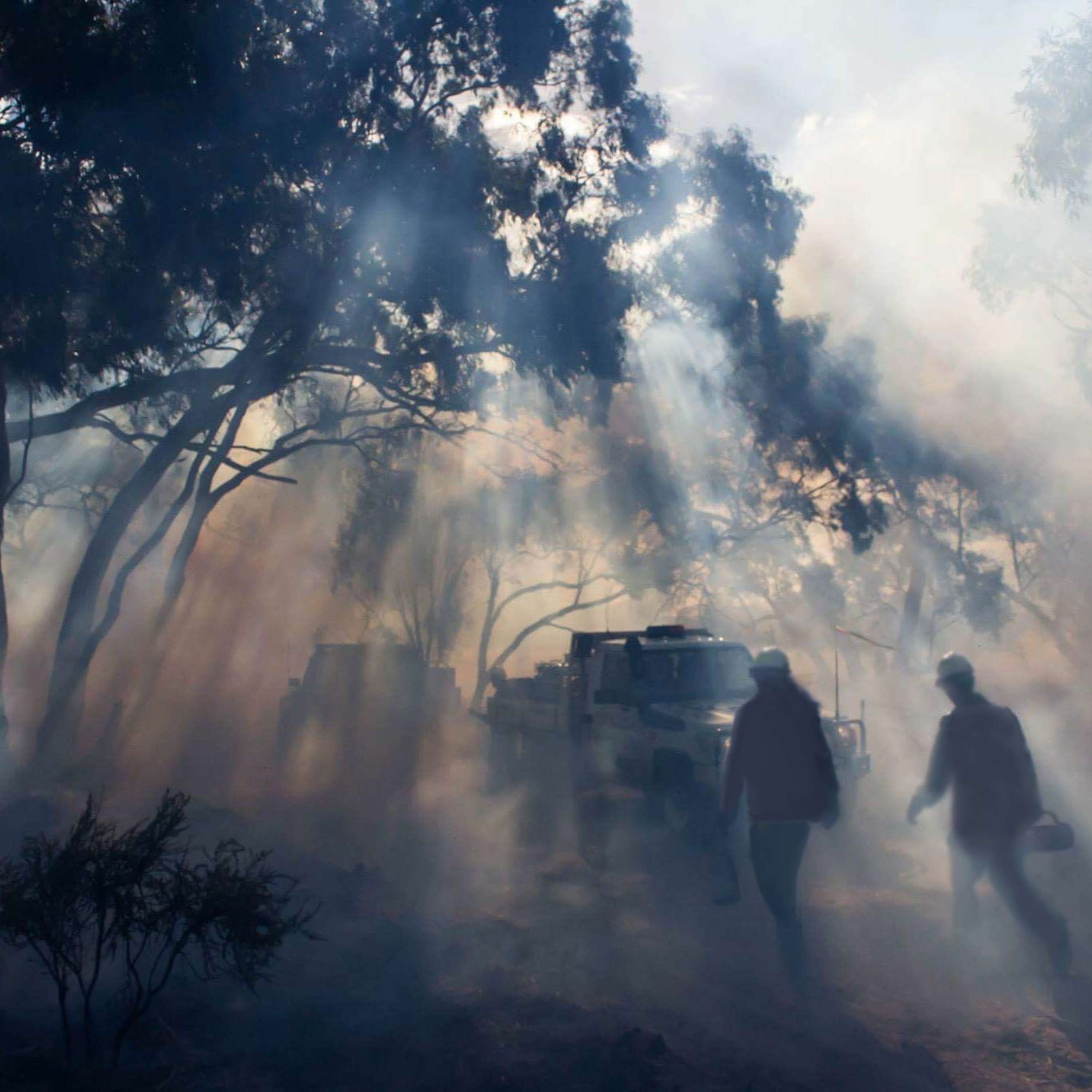 Bushfires, Trauma and Mental Health - Expert Insights for Health Professionals