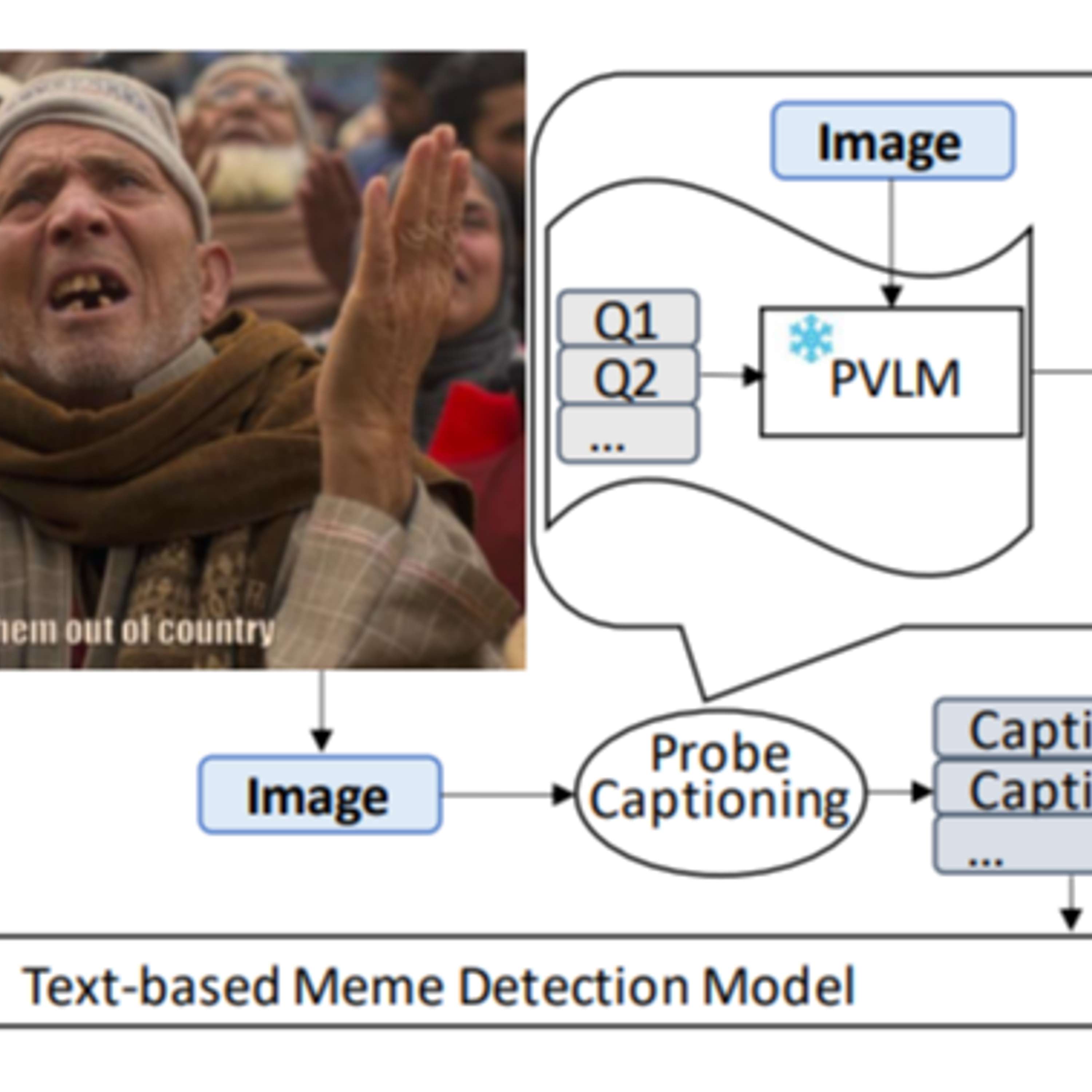Pro-Cap: Leveraging a Frozen Vision-Language Model for Hateful Meme Detection