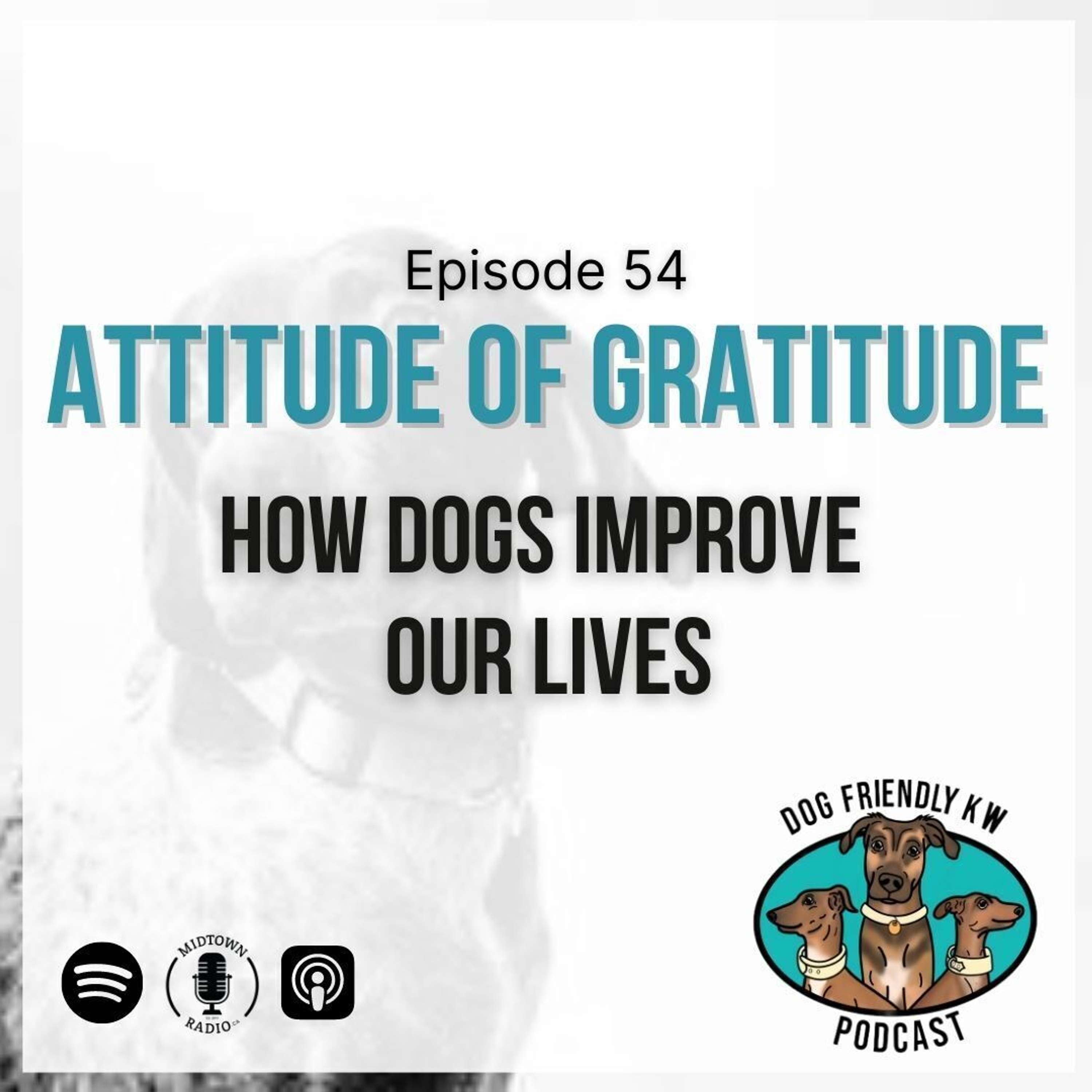 Full Episode: Building an ATTITUDE of GRATITUDE towards our pups!