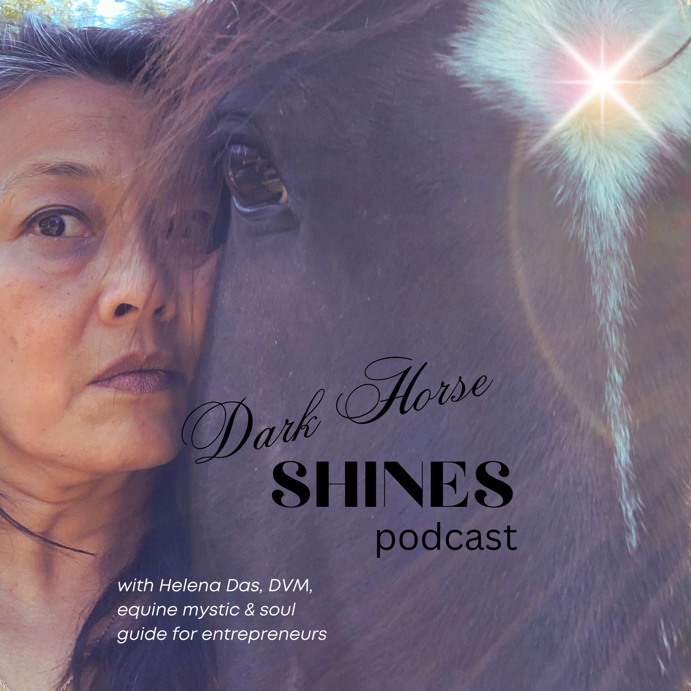 DARK HORSE Shines, a sacred portal to remembering your magic