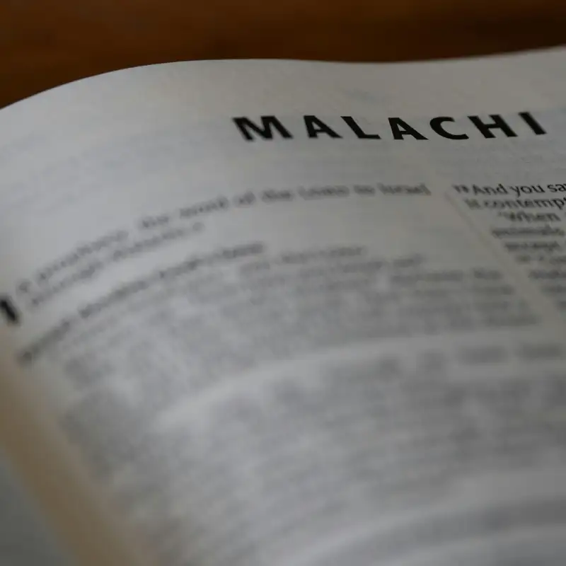 The Elijah To Come.