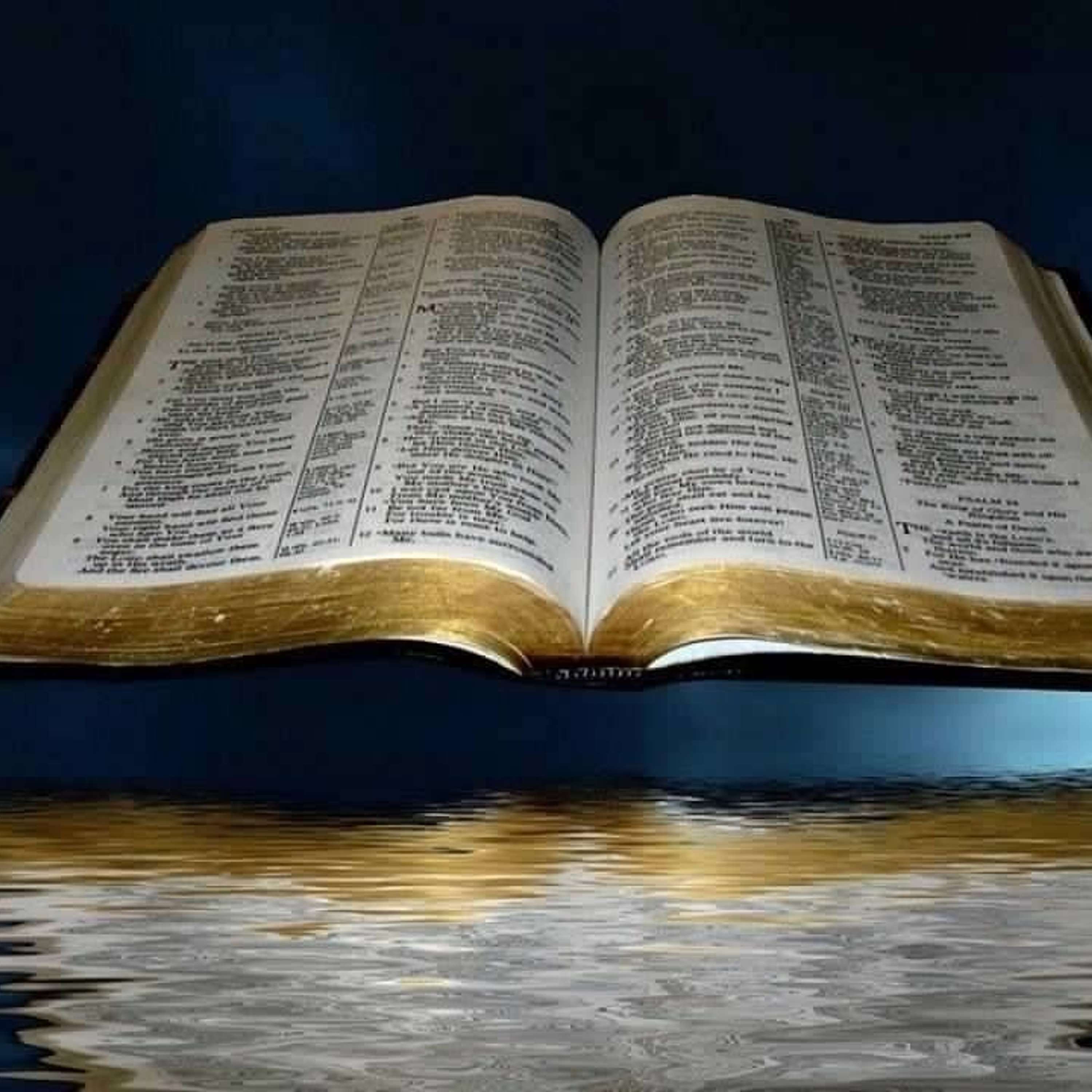RONNY D THOMASON TALKS BIBLE