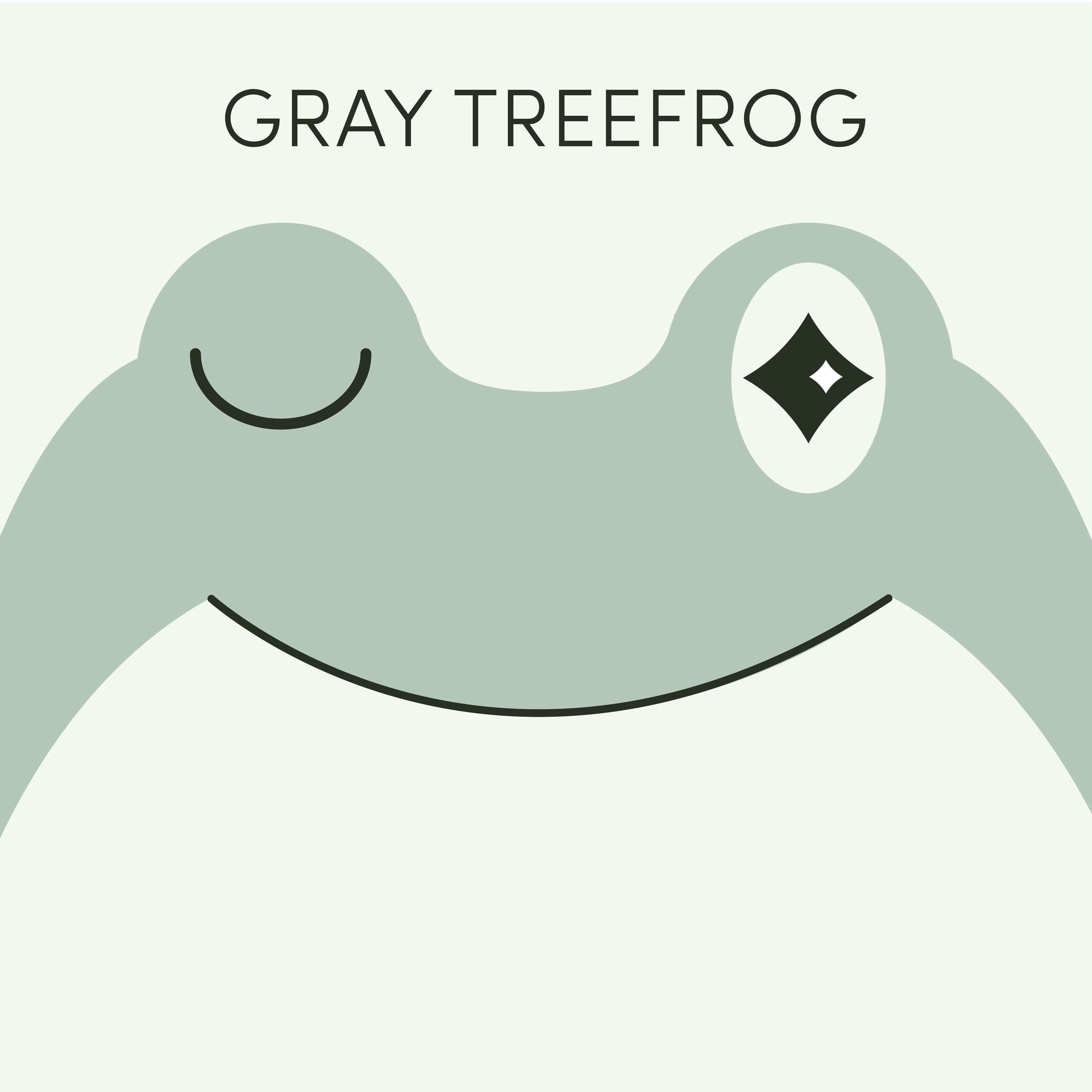 Gray Treefrog | Week of August 29th