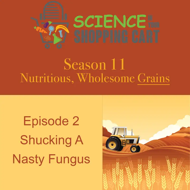 Season 11: Wholesome, Nutritious Grains | Episode 2:  Shucking A Nasty Fungus