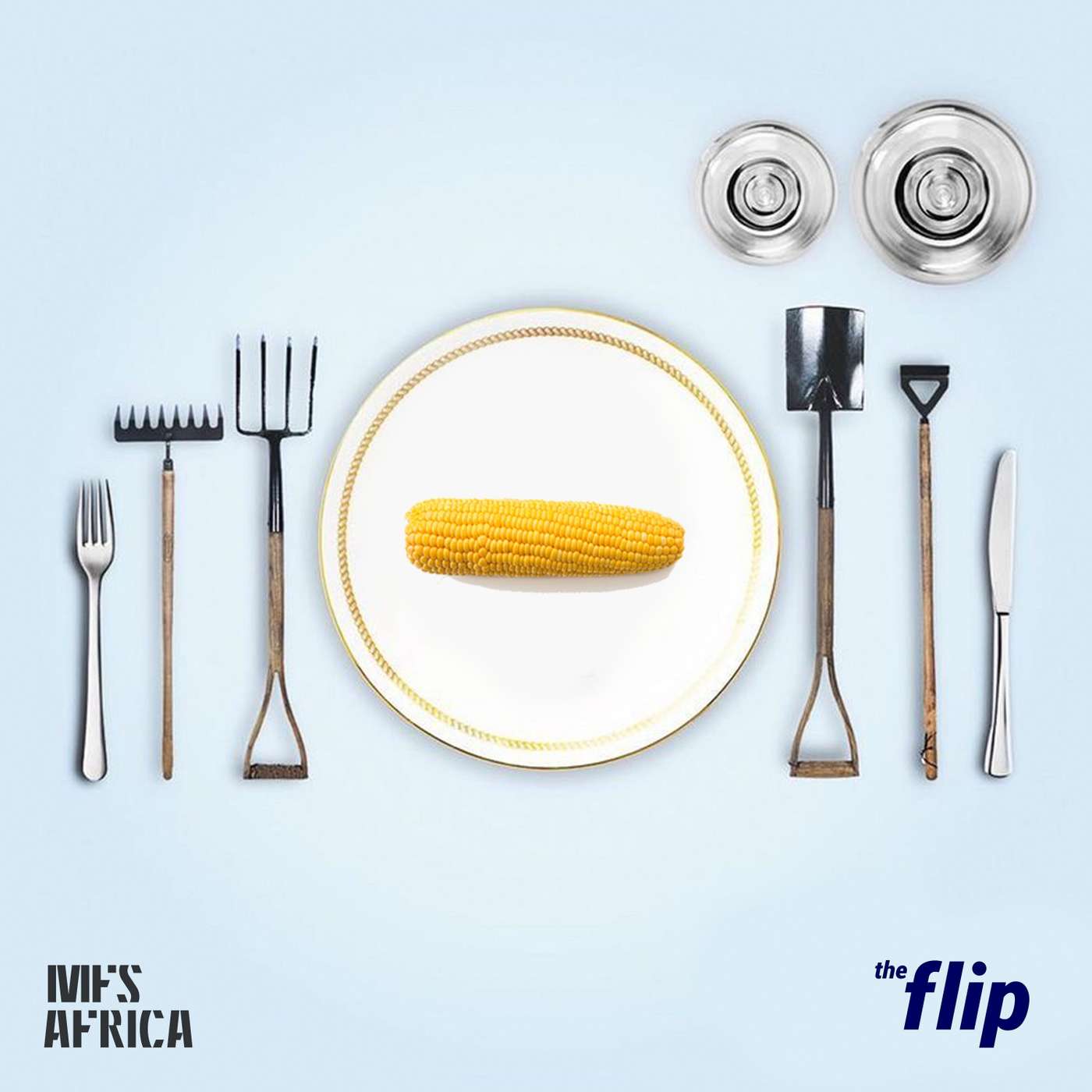 The Flip