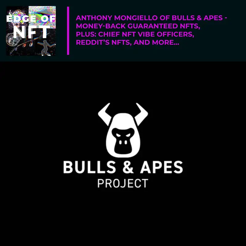 Anthony Mongiello Of Bulls and Apes - Money-Back Guaranteed NFTs, Plus: Chief NFT Vibe Officers, Reddit’s NFTs, And More…