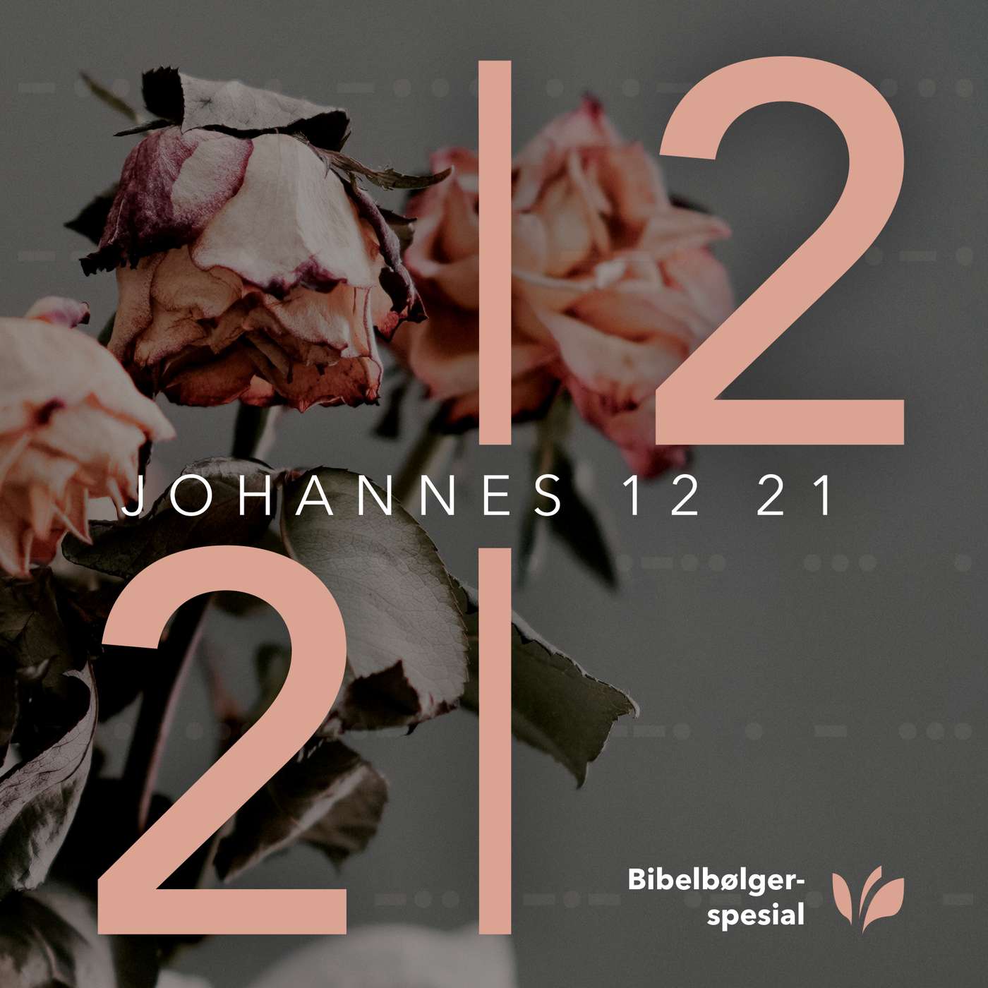 6: Jesus viser seg for disiplene