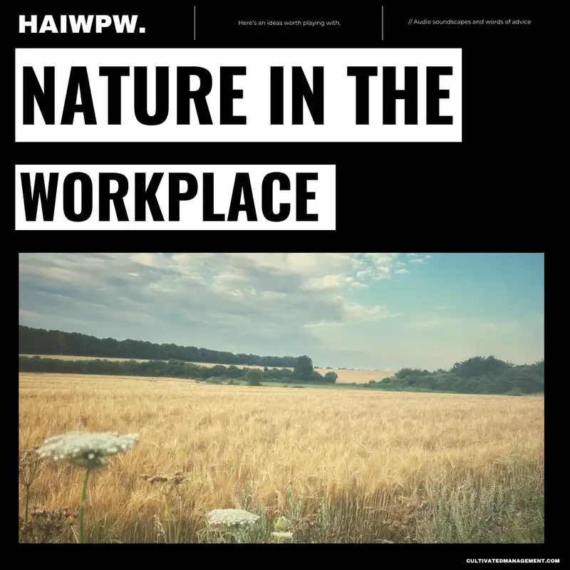 The benefits of bringing nature into your workplace - Biophilic Design