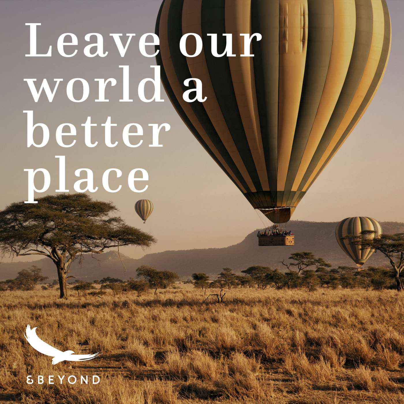 Ballooning in the Serengeti with John Corse