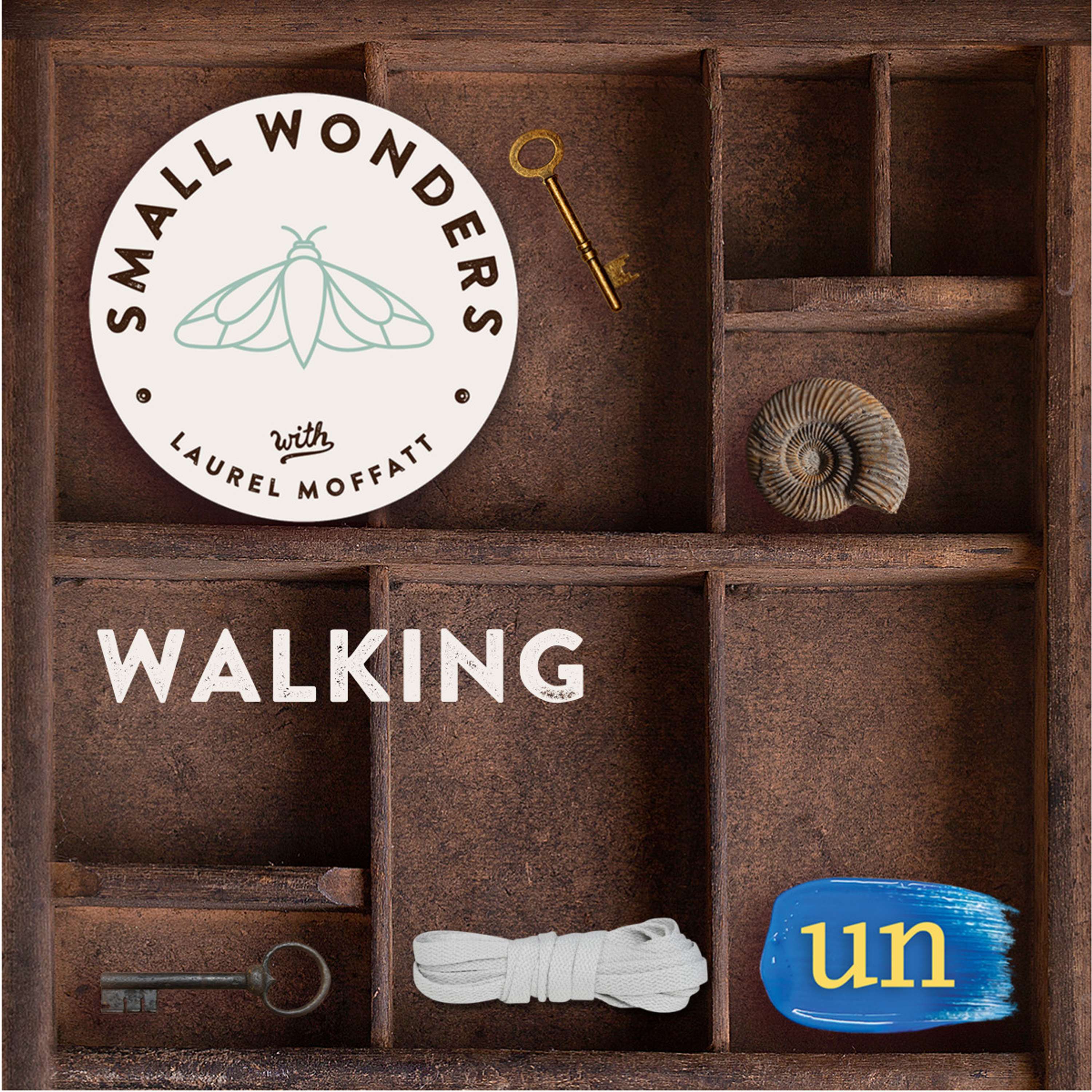 Small Wonders