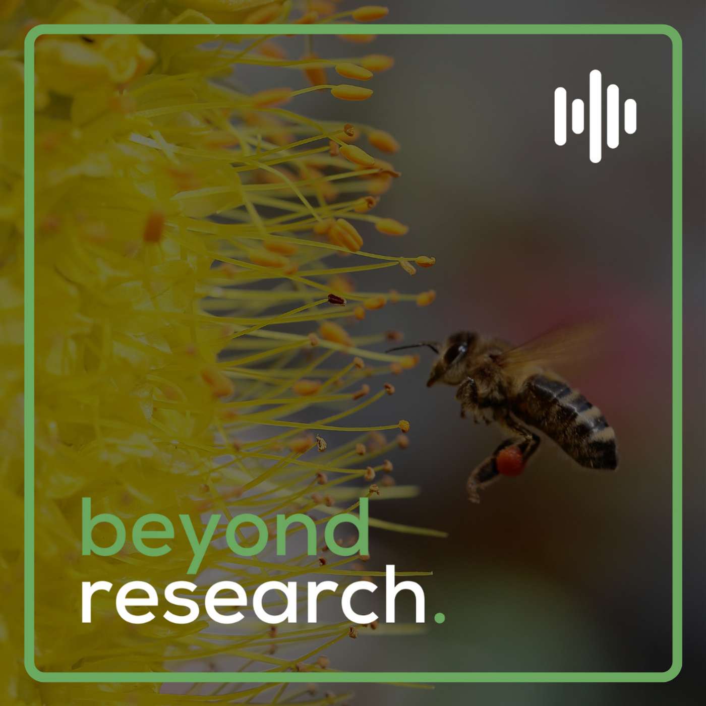 Beyond Research