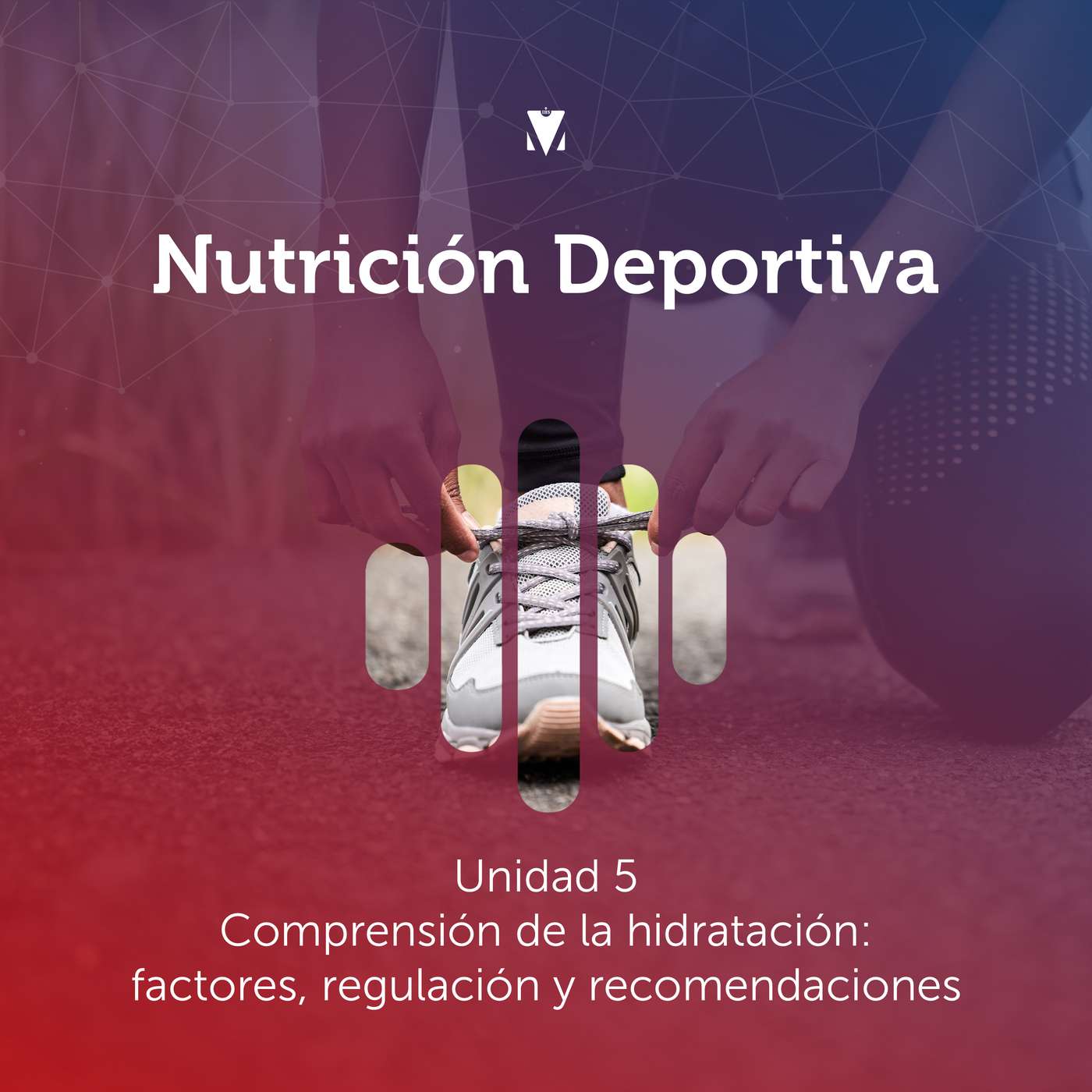 5 - NUTRICIÓN DEPORTIVA: Unidad 5 - Comprensión de la hidratación: factores, regulación y recomendaciones
