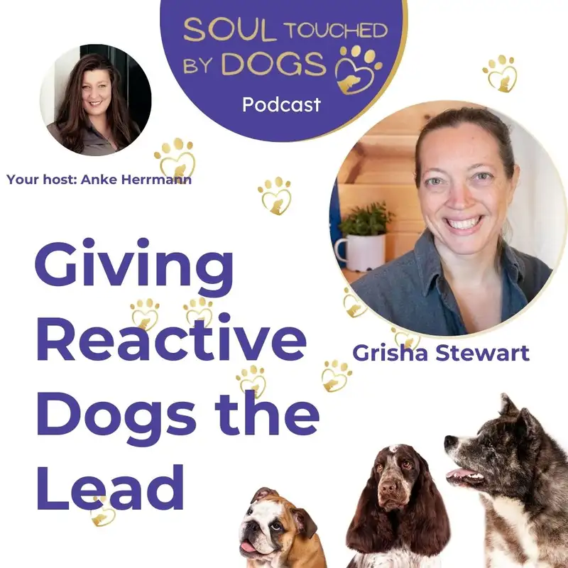 Grisha Stewart - Giving Reactive Dogs the Lead: How to Teach Social Skills to Dogs