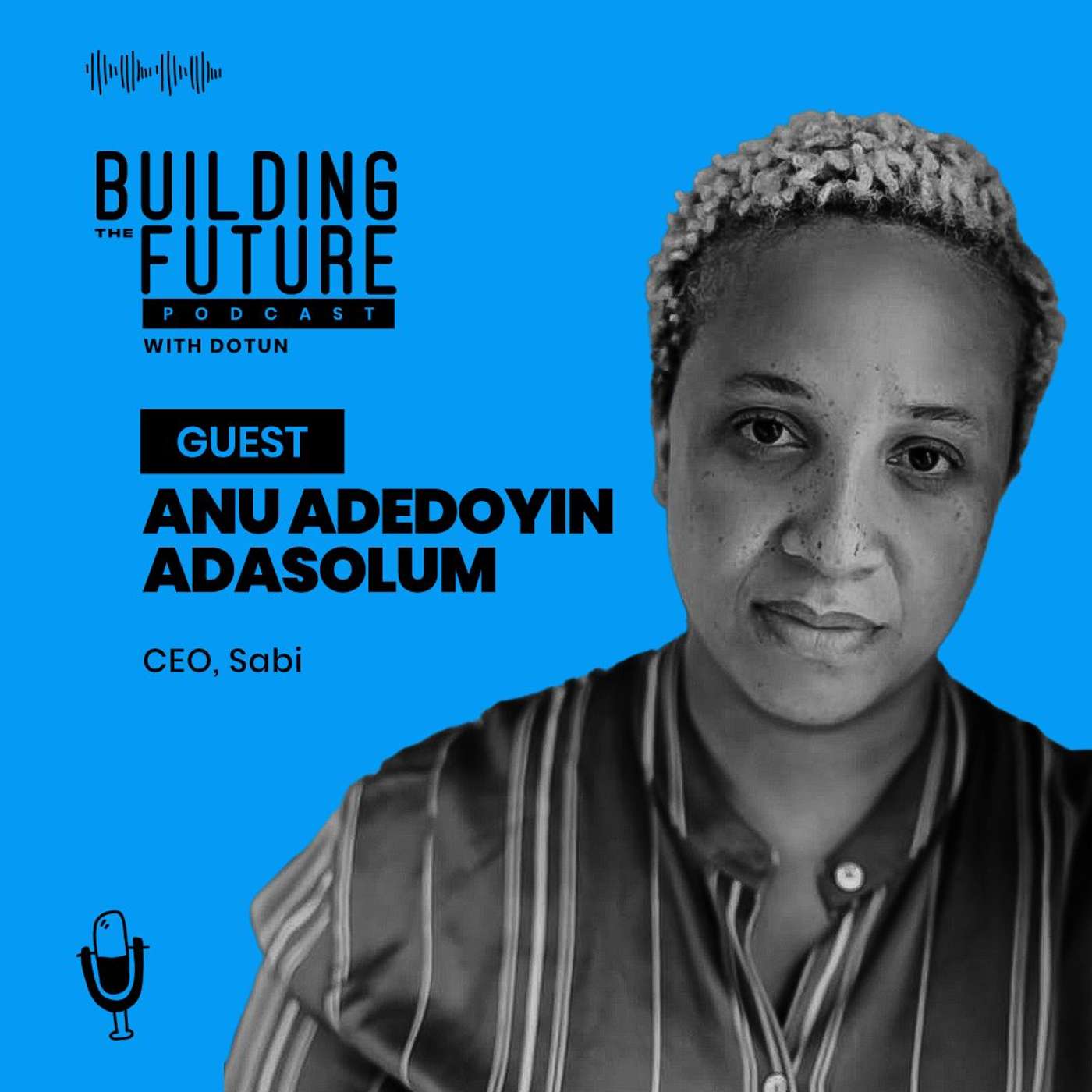 #77, Anu Adedoyin-Adasolum - On differentiation in B2B ecommerce and complexities of the offline market
