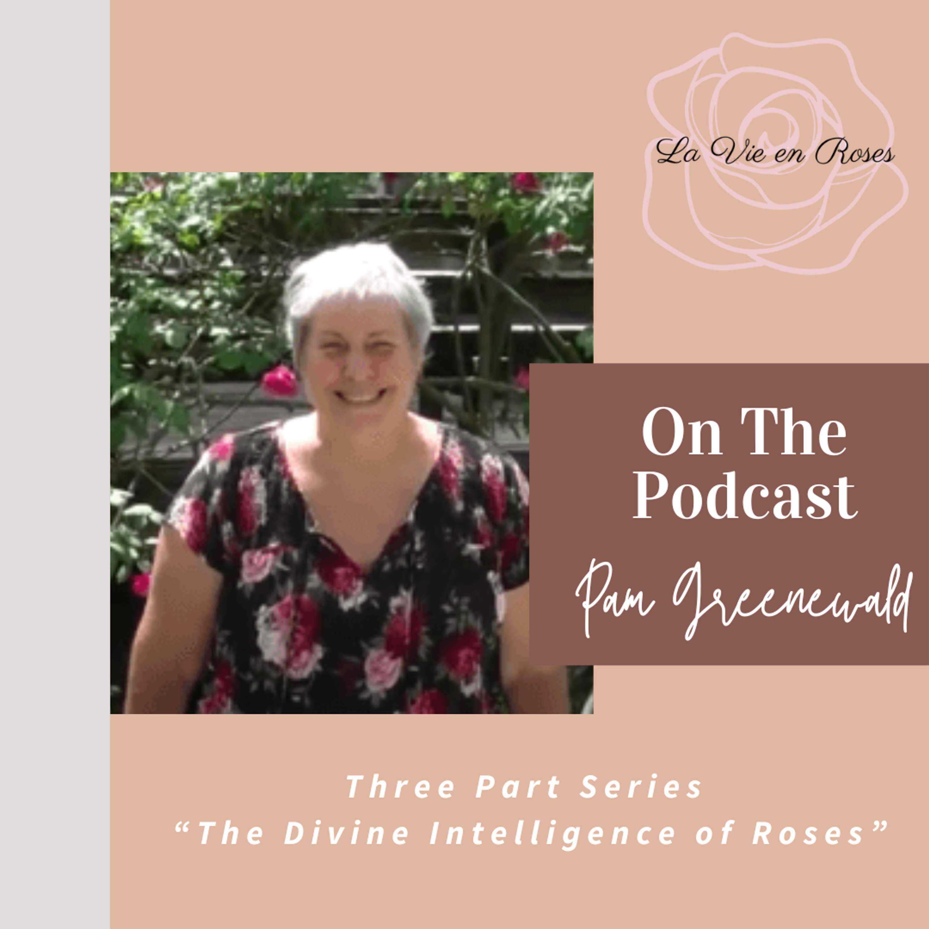 The Divine Intelligence of Roses: Part One "The Divine Intelligence of Nature"