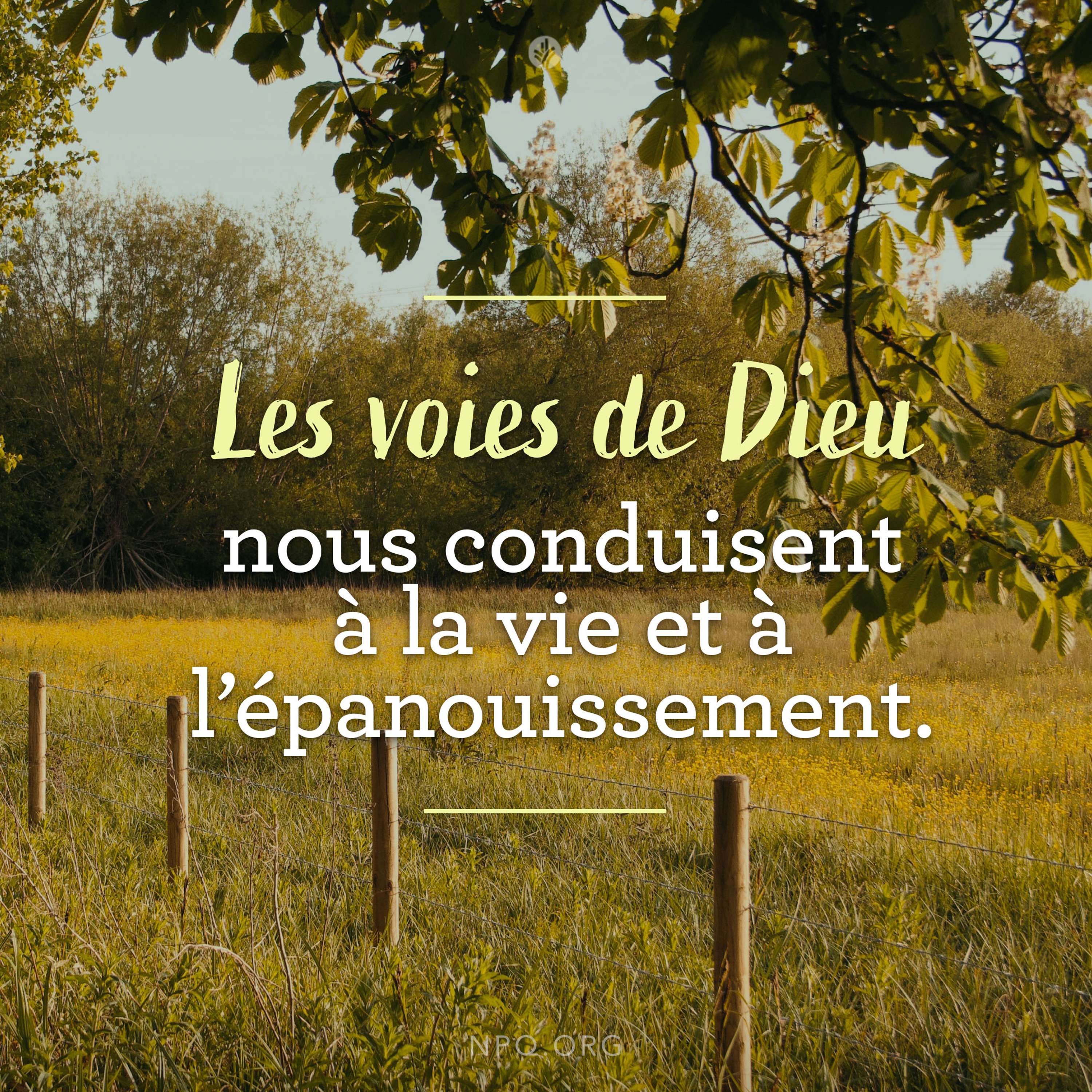 Choix et conséquences