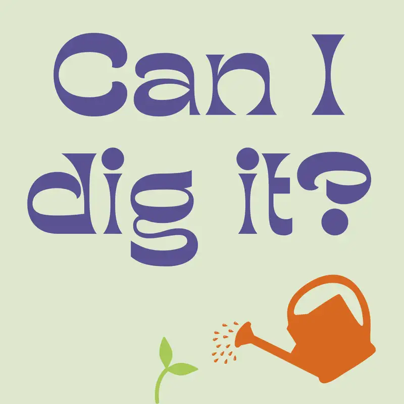 Mulching: How, Why & When
