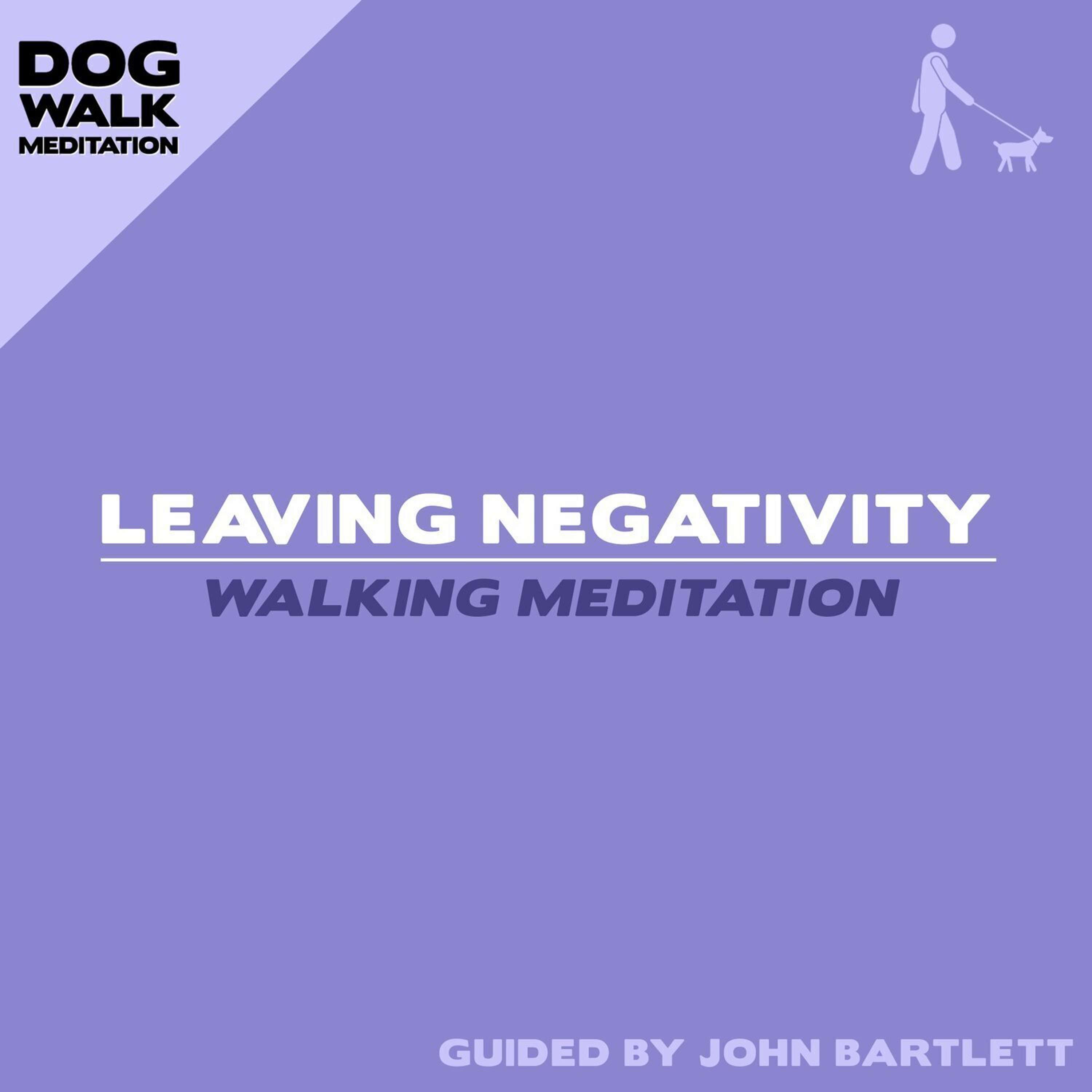 Bonus: Dog Walk Meditation | Leaving Negativity