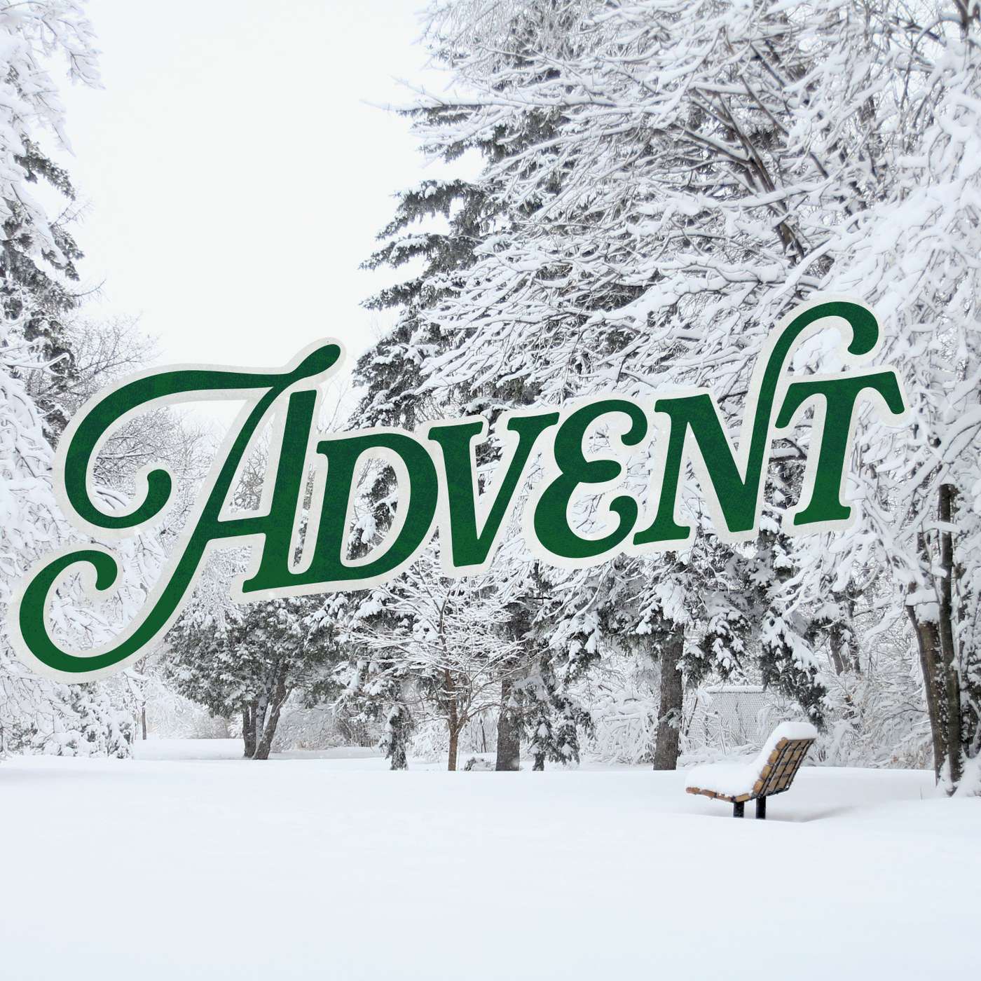 Good News and Great Joy | Advent Reflections