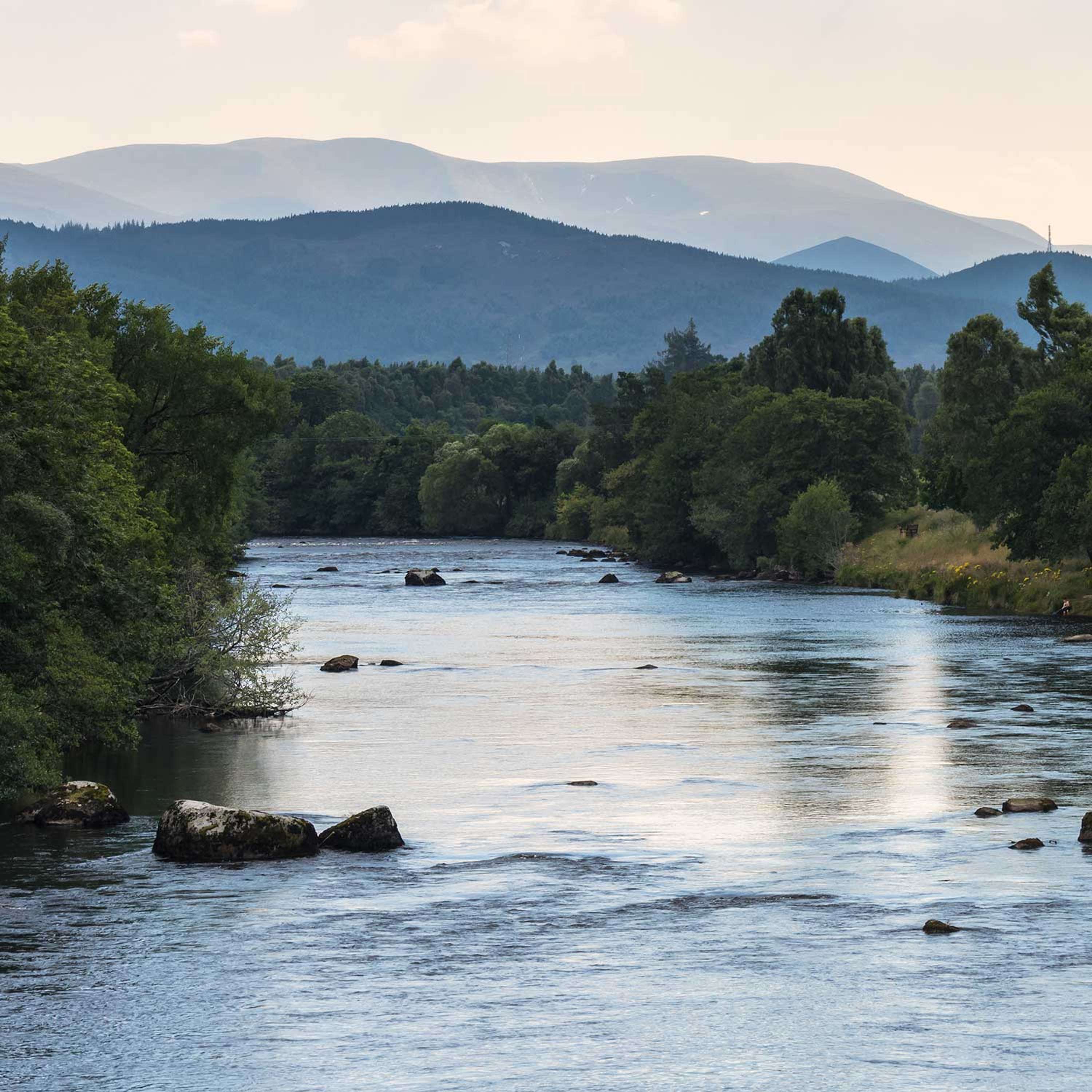 ReWilding our Water: From Rain to River to Sewer and back with Tim Smedley, author of The Last Drop