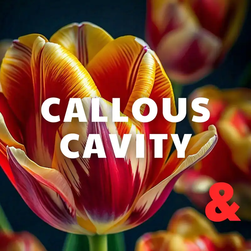 Callous Cavity