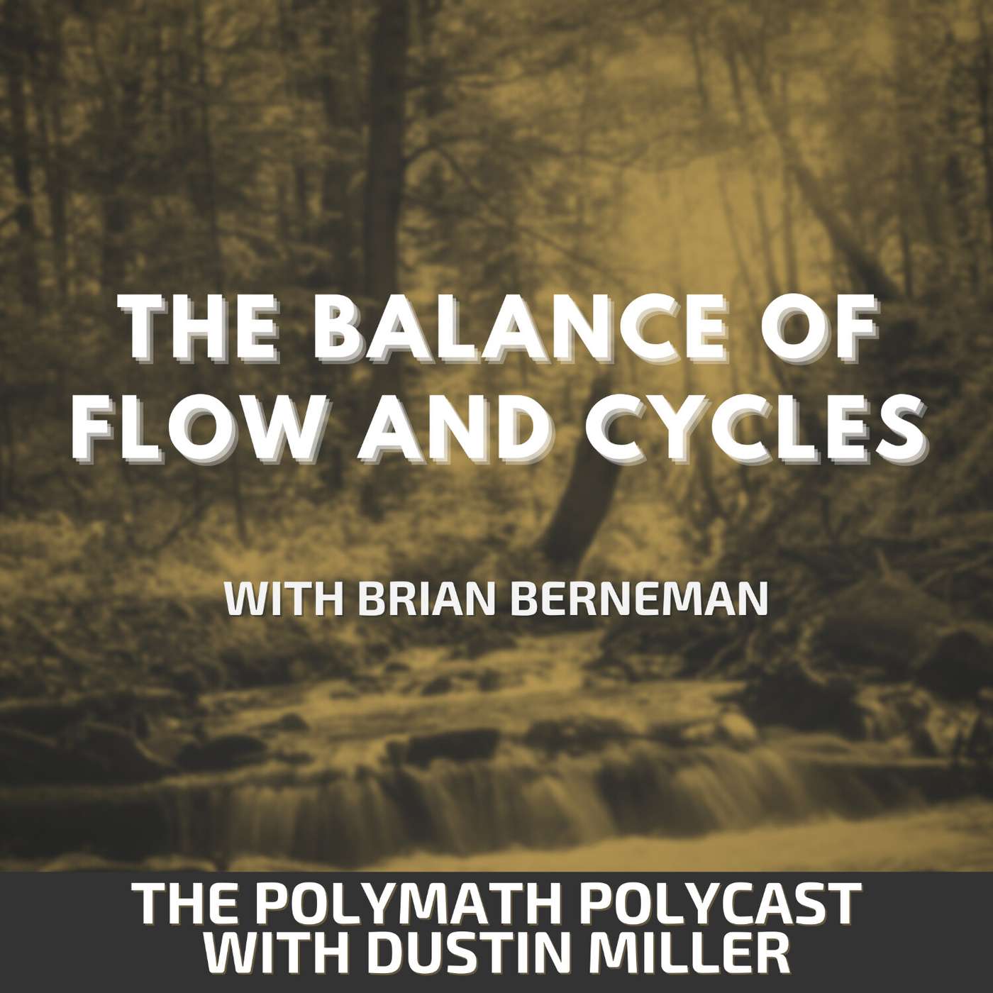 The Polymath PolyCast with Dustin PolyInnovator