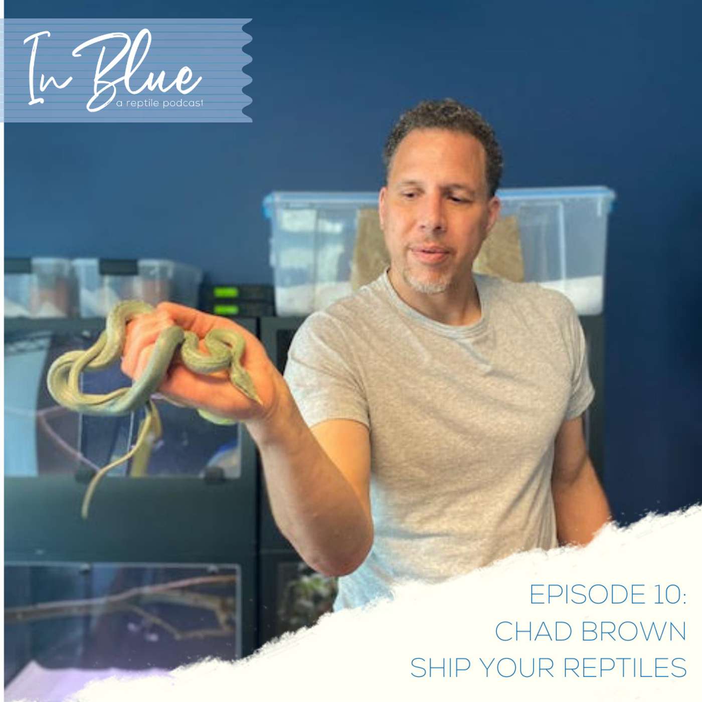Episode 10: Chad Brown, Ship Your Reptiles