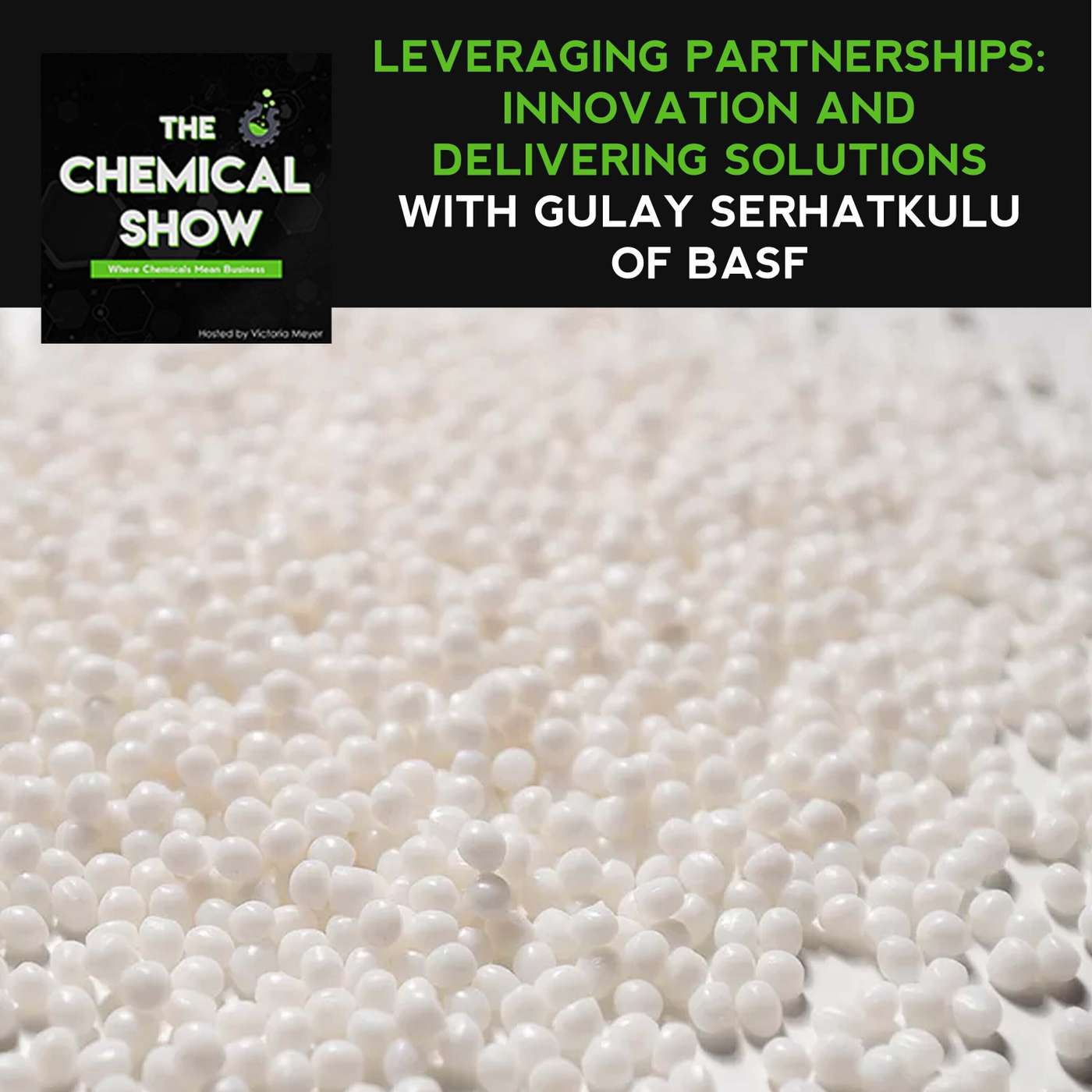 63. Leveraging Partnerships: Innovation And Delivering Solutions With Gulay Serhatkulu Of BASF