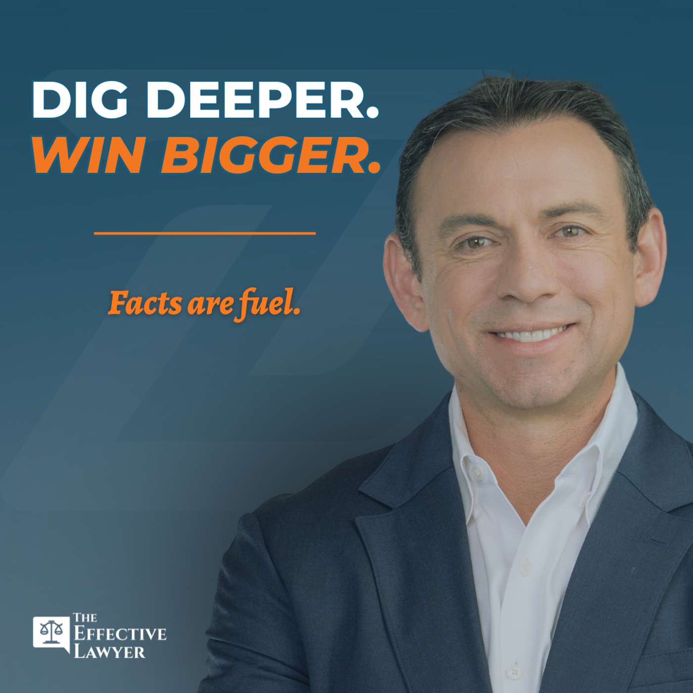 The Effective Lawyer