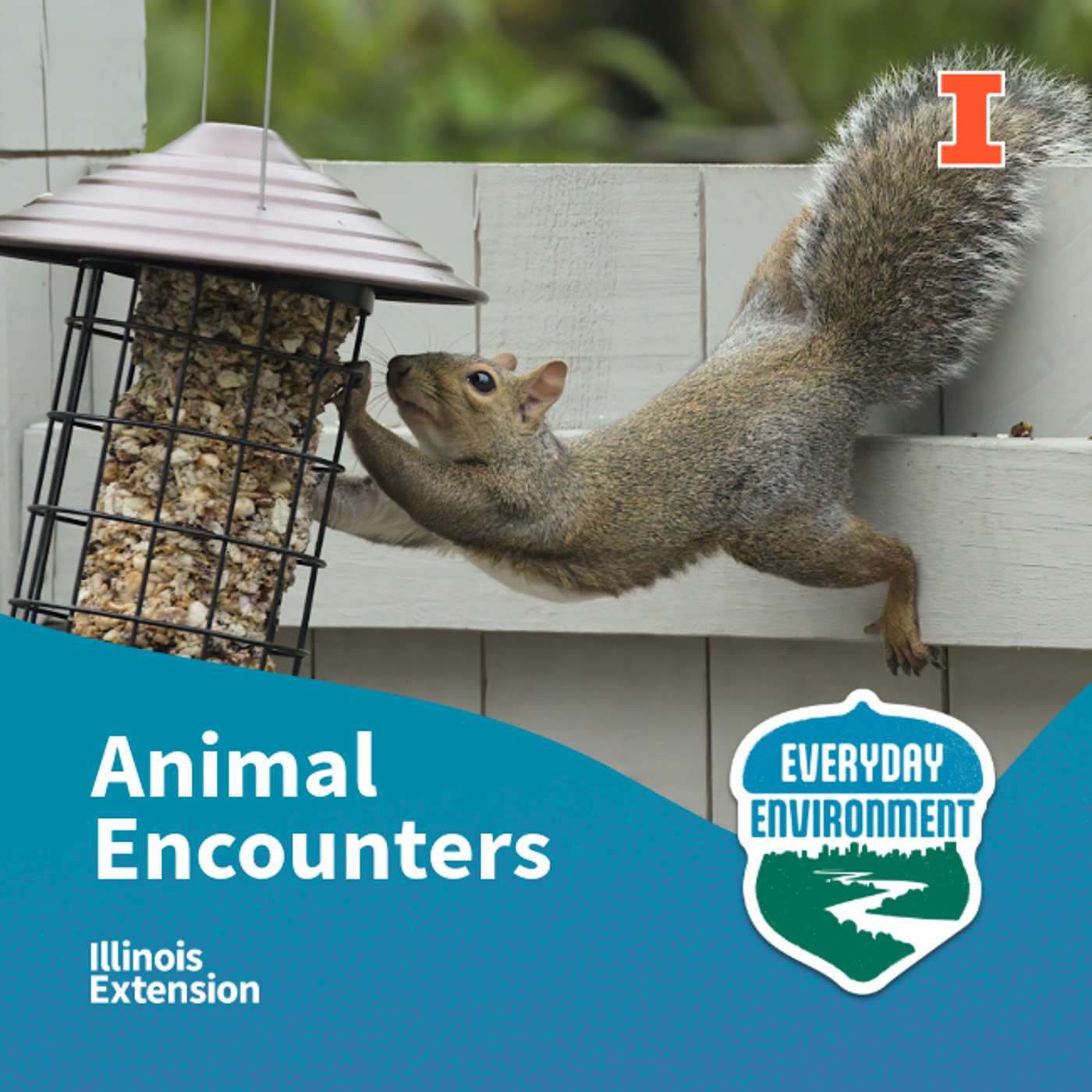 There's a snake in my basement!: wildlife encounters with Joy O'Keefe