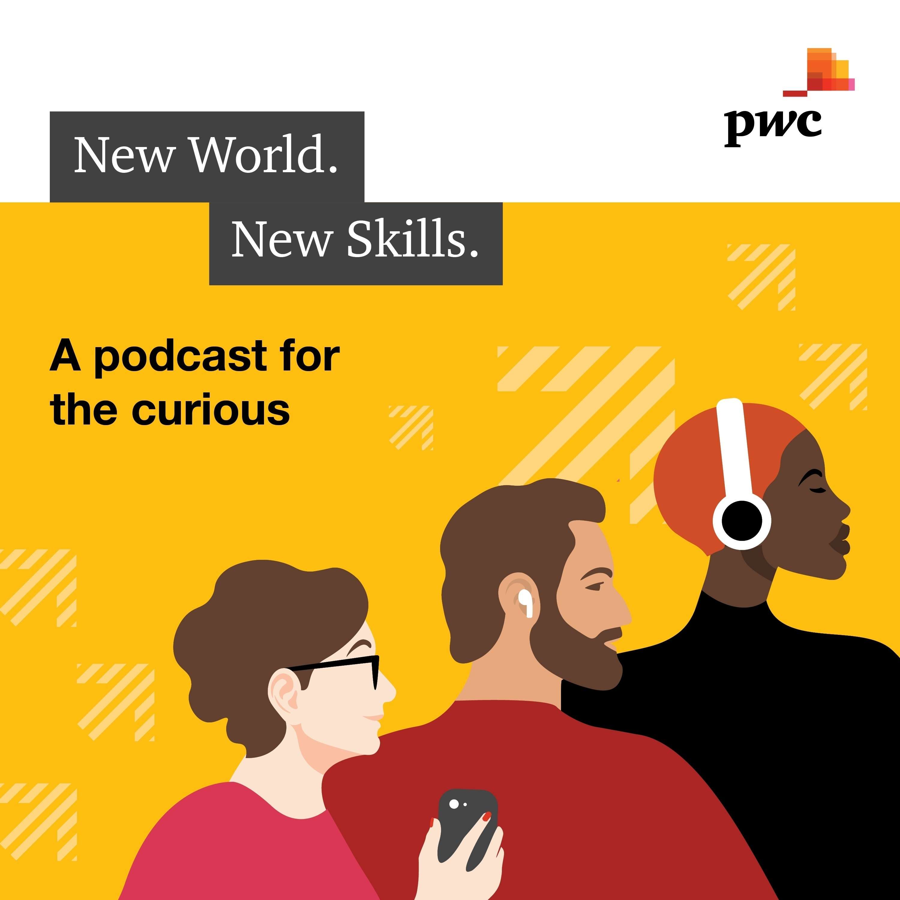 New World, New Skills NI