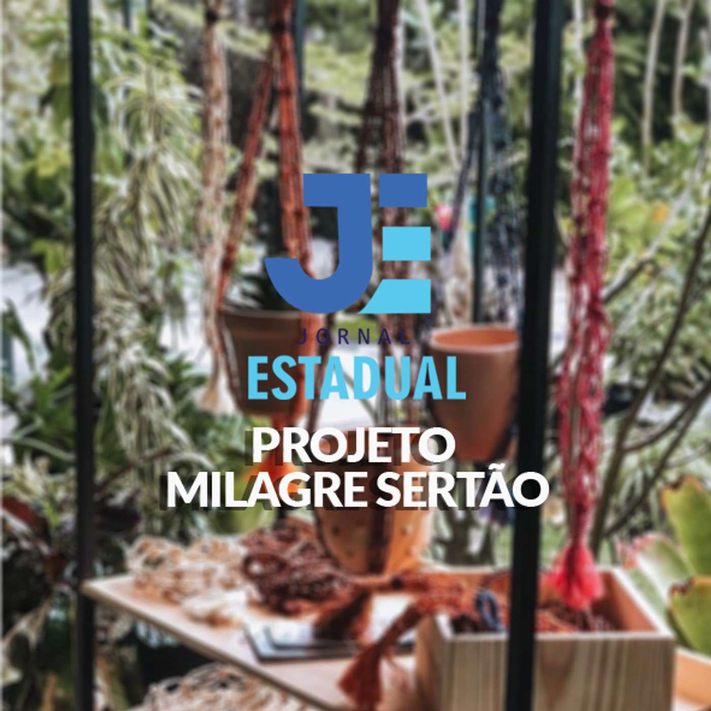 Matéria - Projeto Milagre Sertão episode artwork