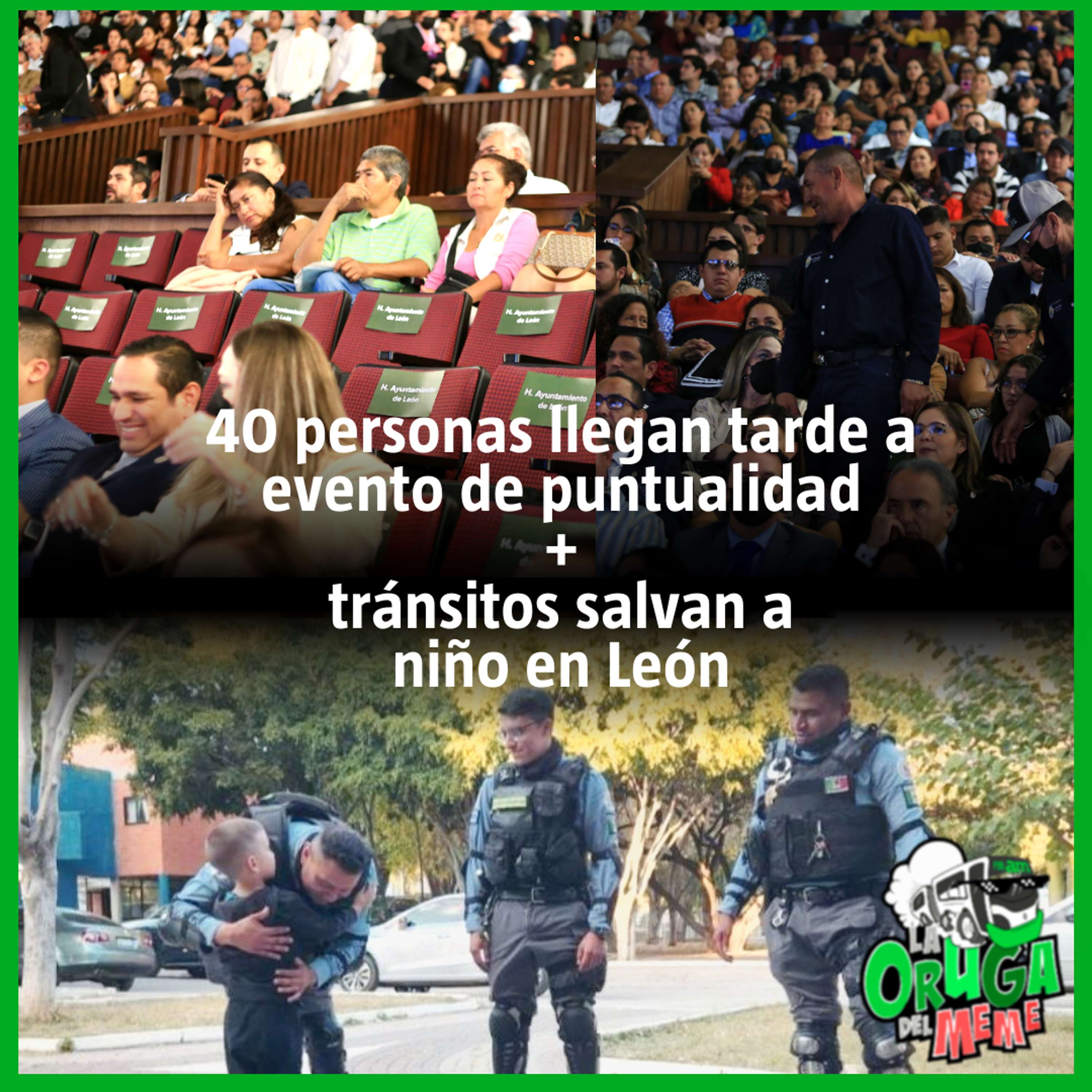 La Oruga del Meme