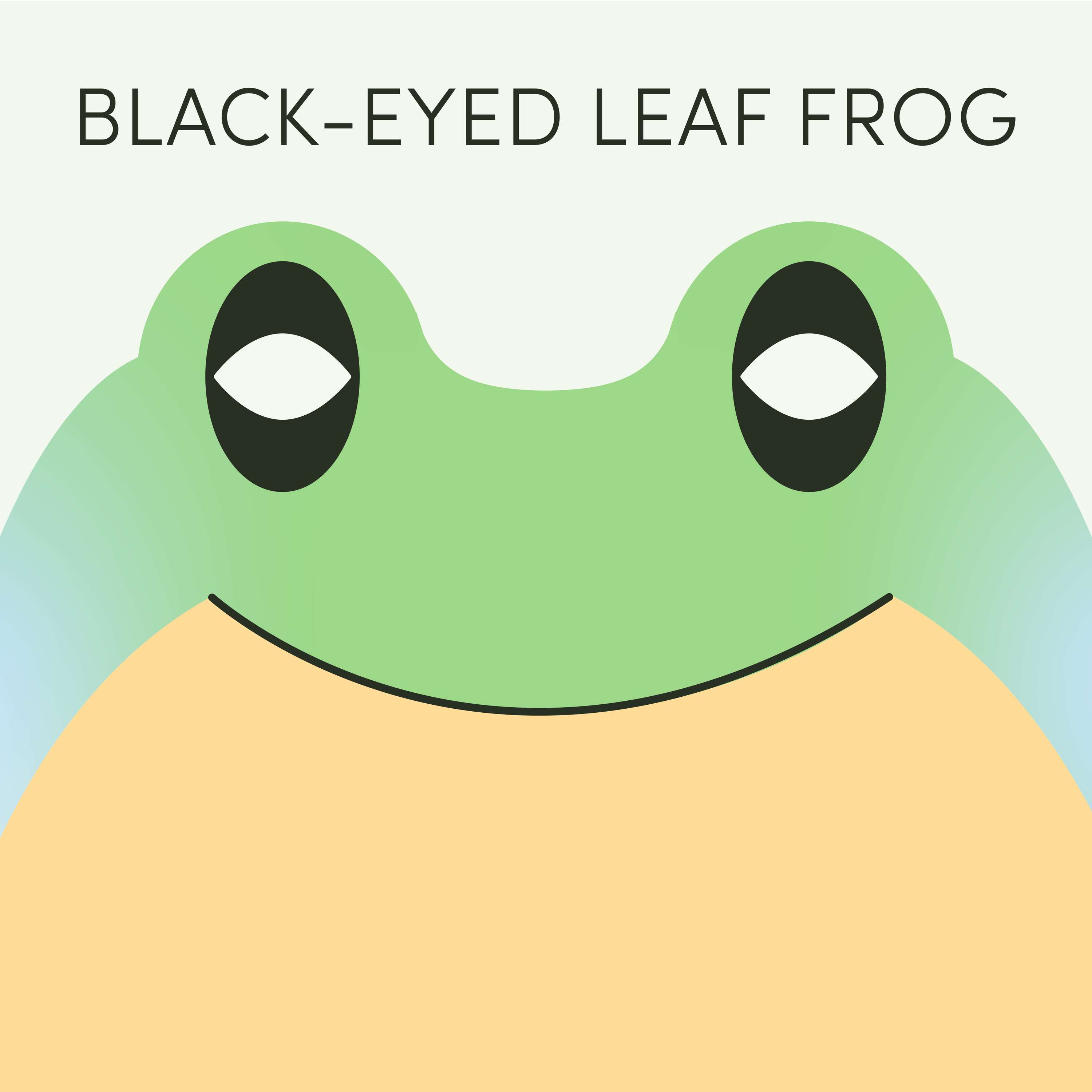 Black-Eyed Leaf Frog | Week of November 6th
