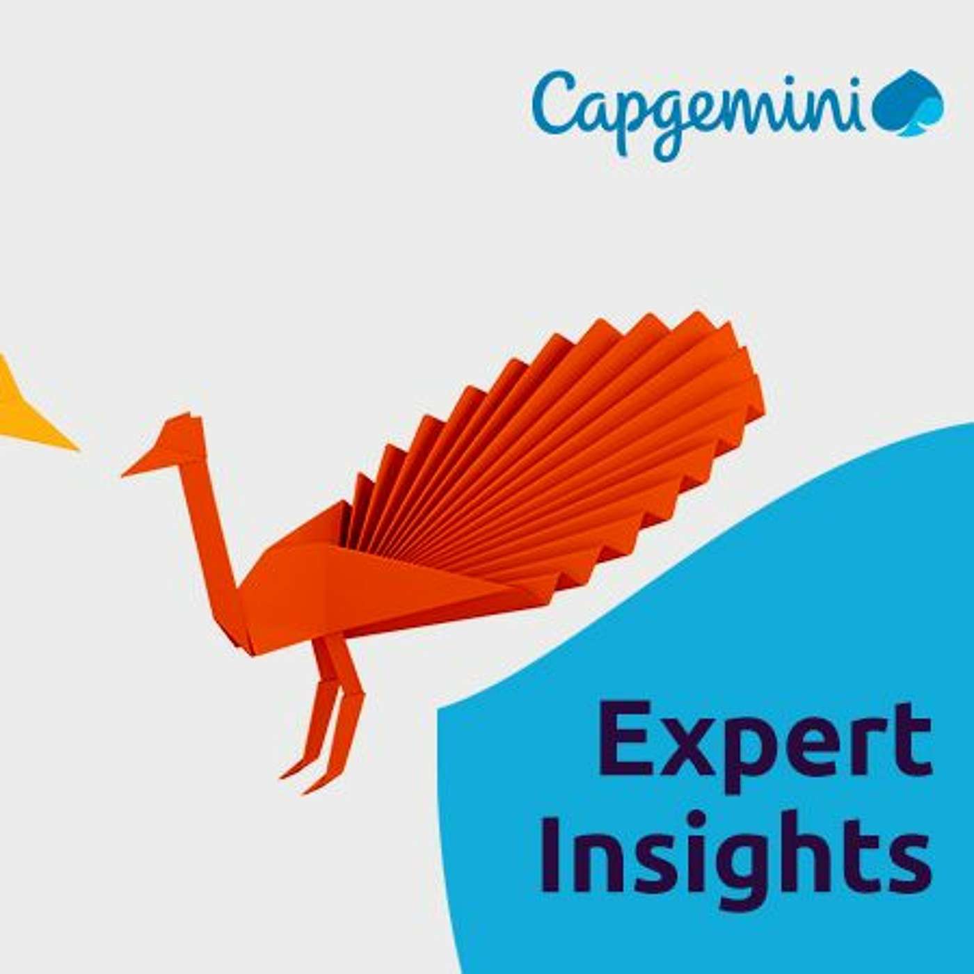Business & Technology Insights from Capgemini