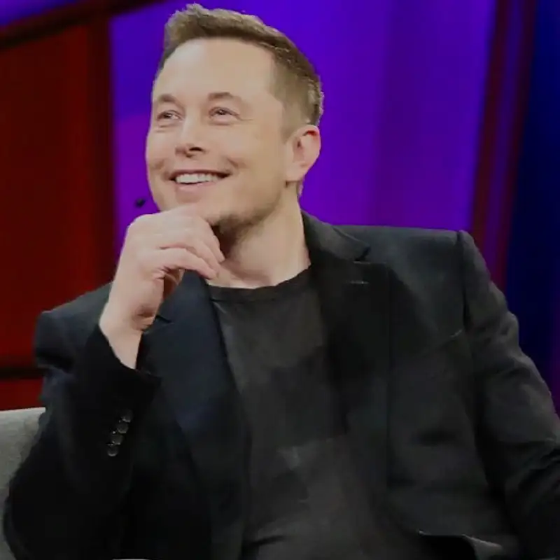 ECONOMIE - Elon Musk, richissime visionnaire ou colosse aux pieds d'argile?