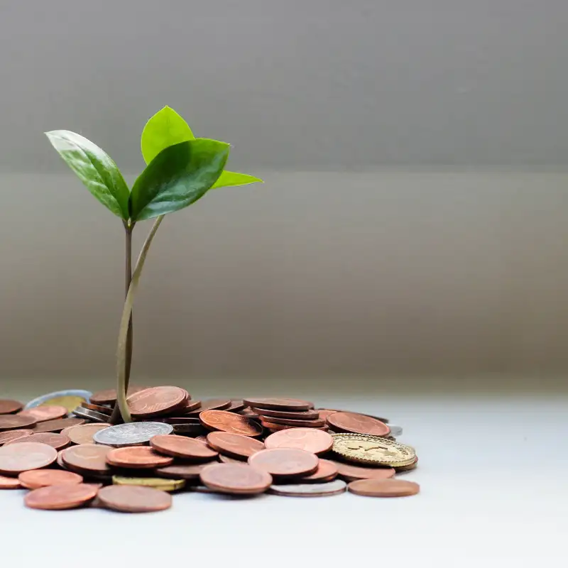 TFL BLOG | How to Become more Generous with your Treasure