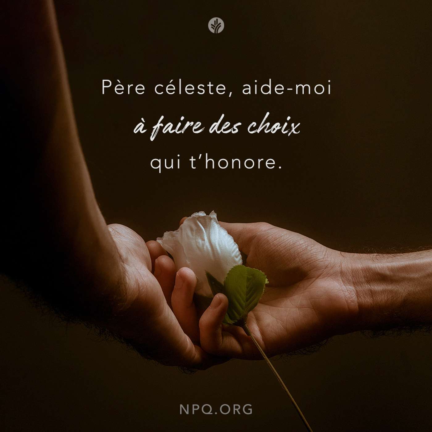 Notre Pain Quotidien podcast