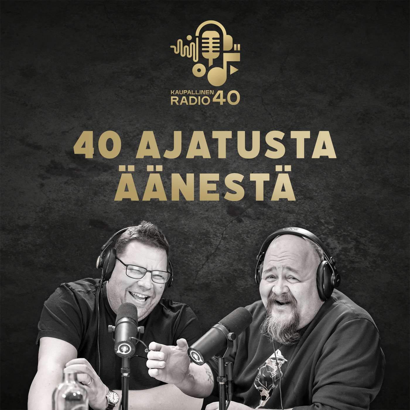 40 ajatusta äänestä