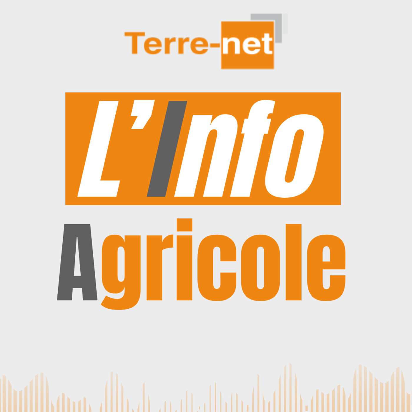 Actualité