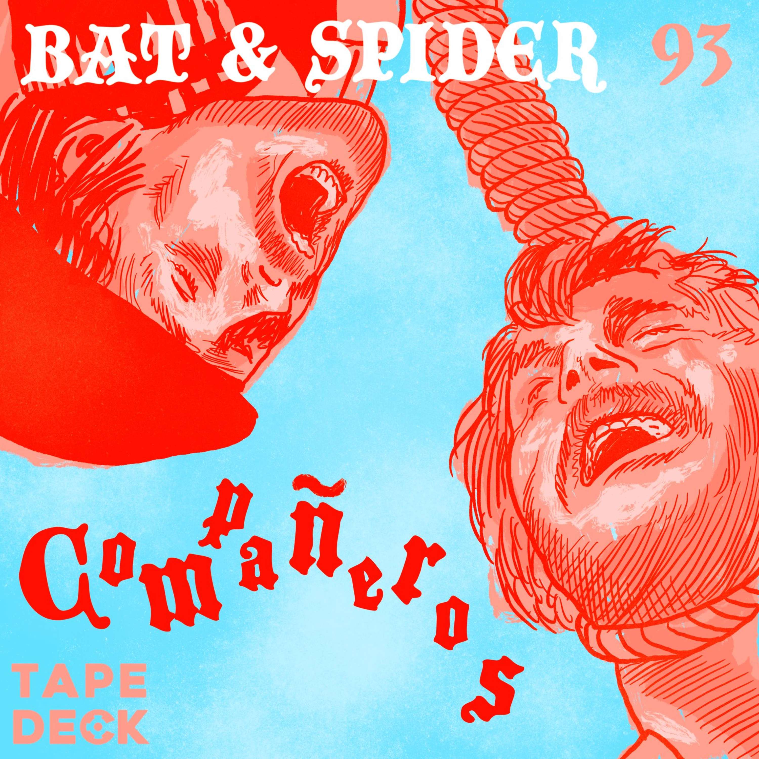 BAT AND SPIDER