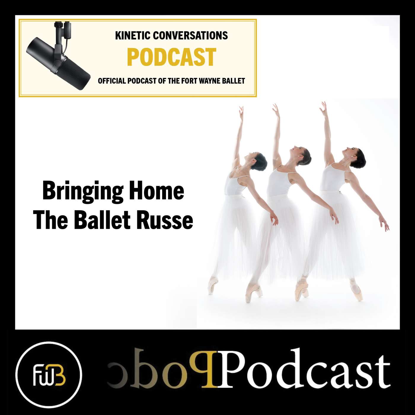Kinetic Conversations with the Fort Wayne Ballet