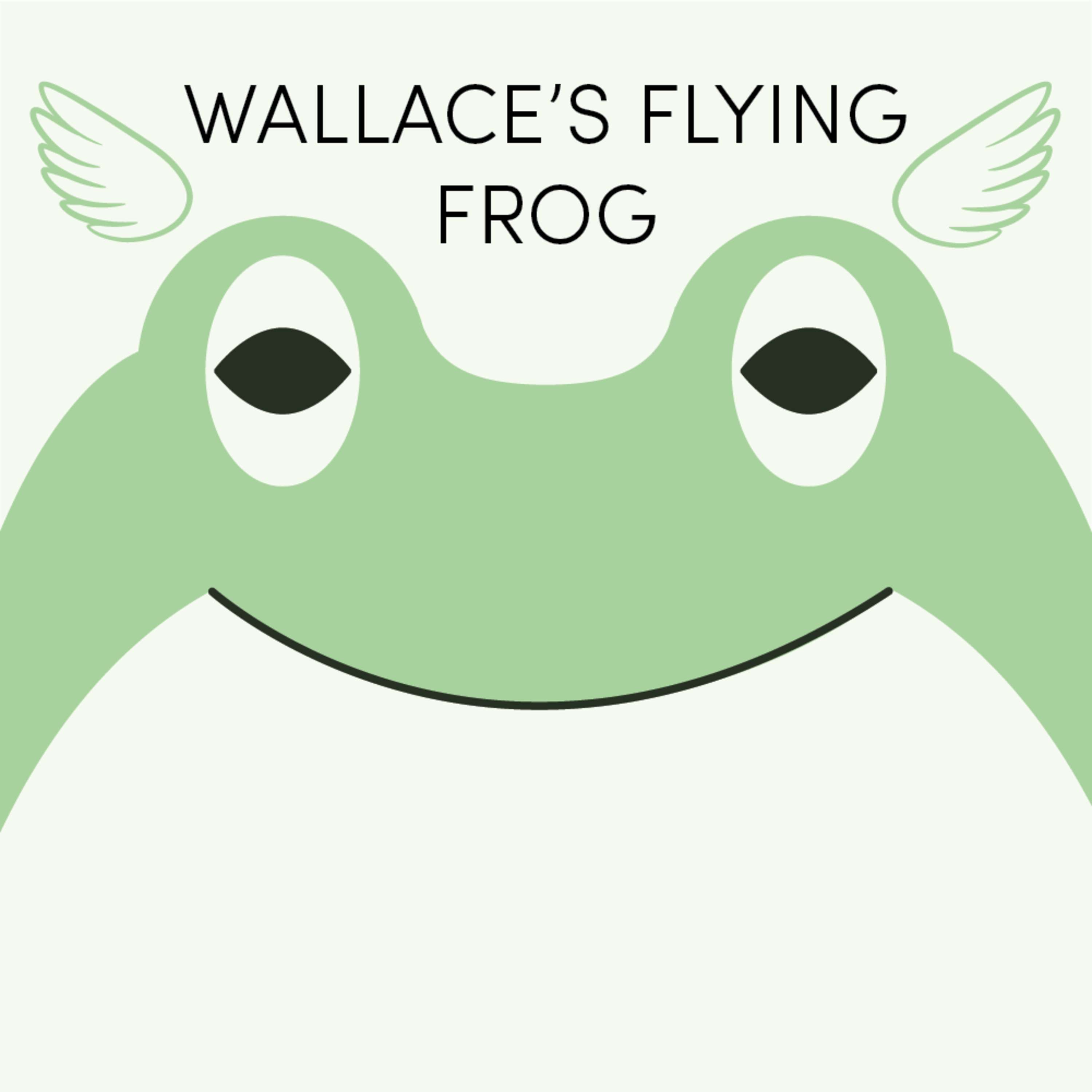 Wallace's Flying Frog | Week of January 24th