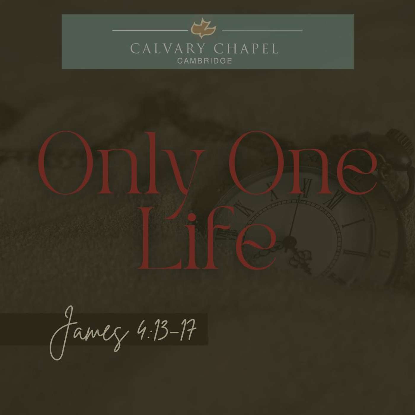 Only One Life
