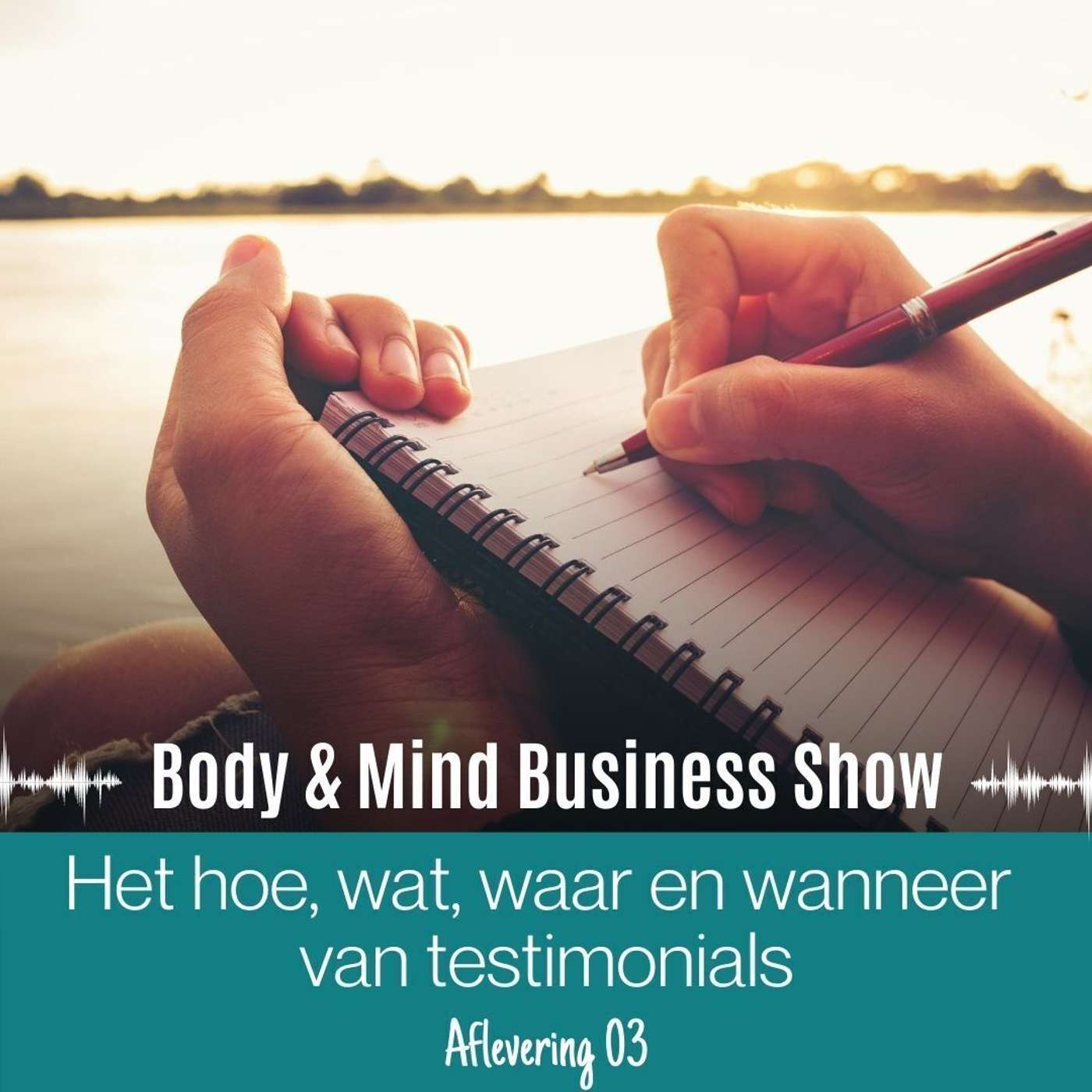 Het hoe, wat, waar en wanneer van testimonials episode artwork