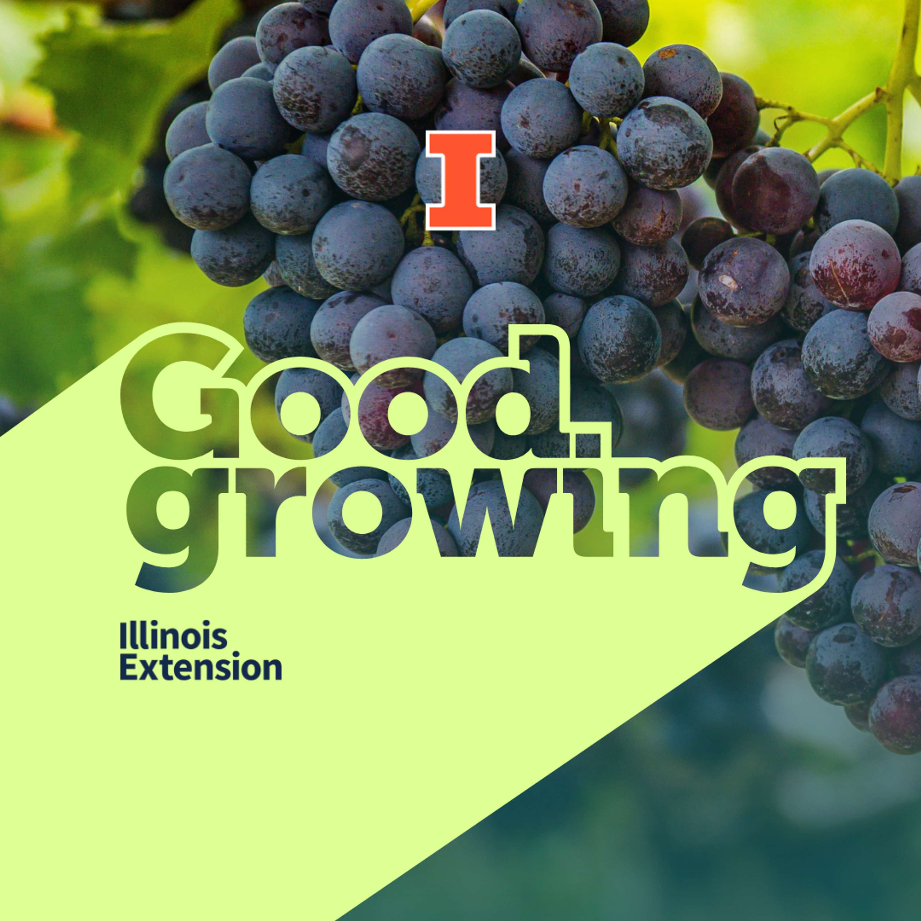 Good Growing